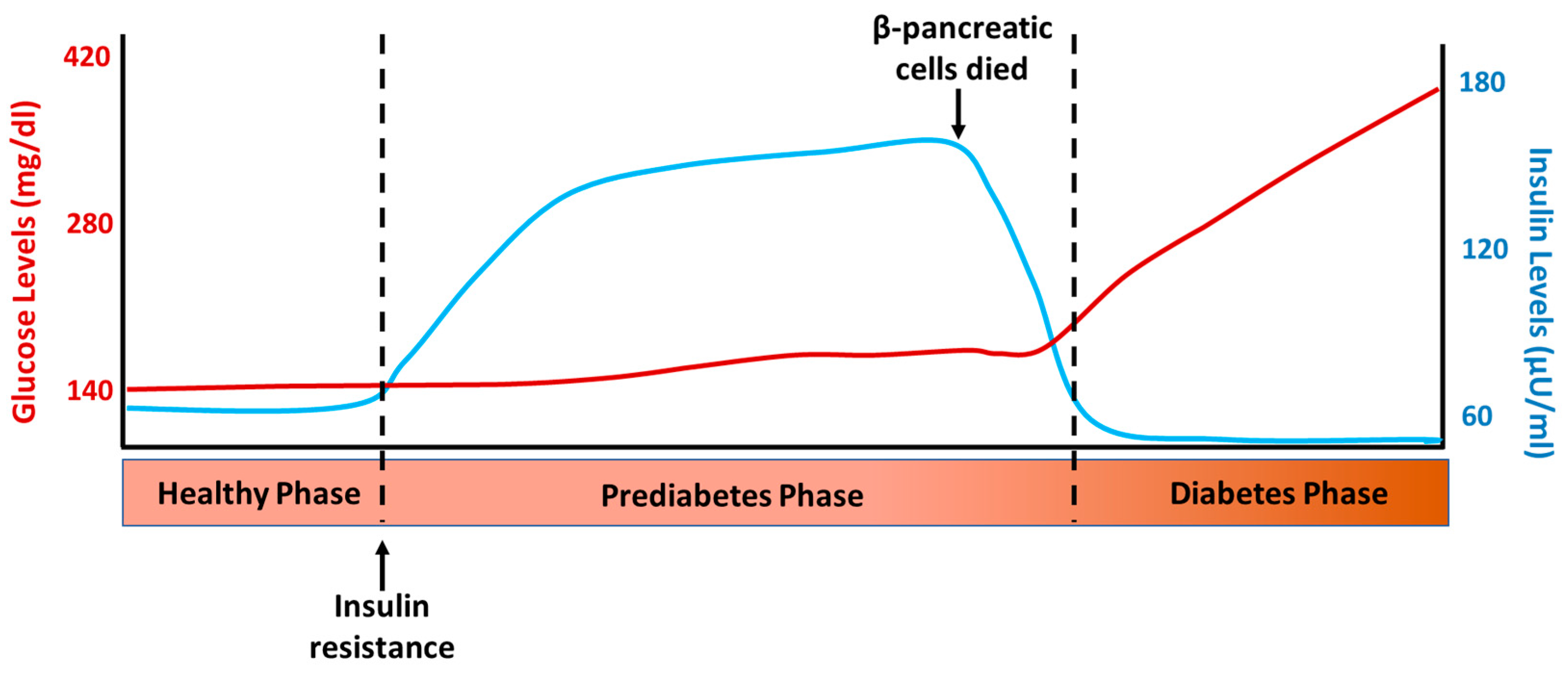 Neurolint 15 00079 g002 Neurolint 15 00079 g002