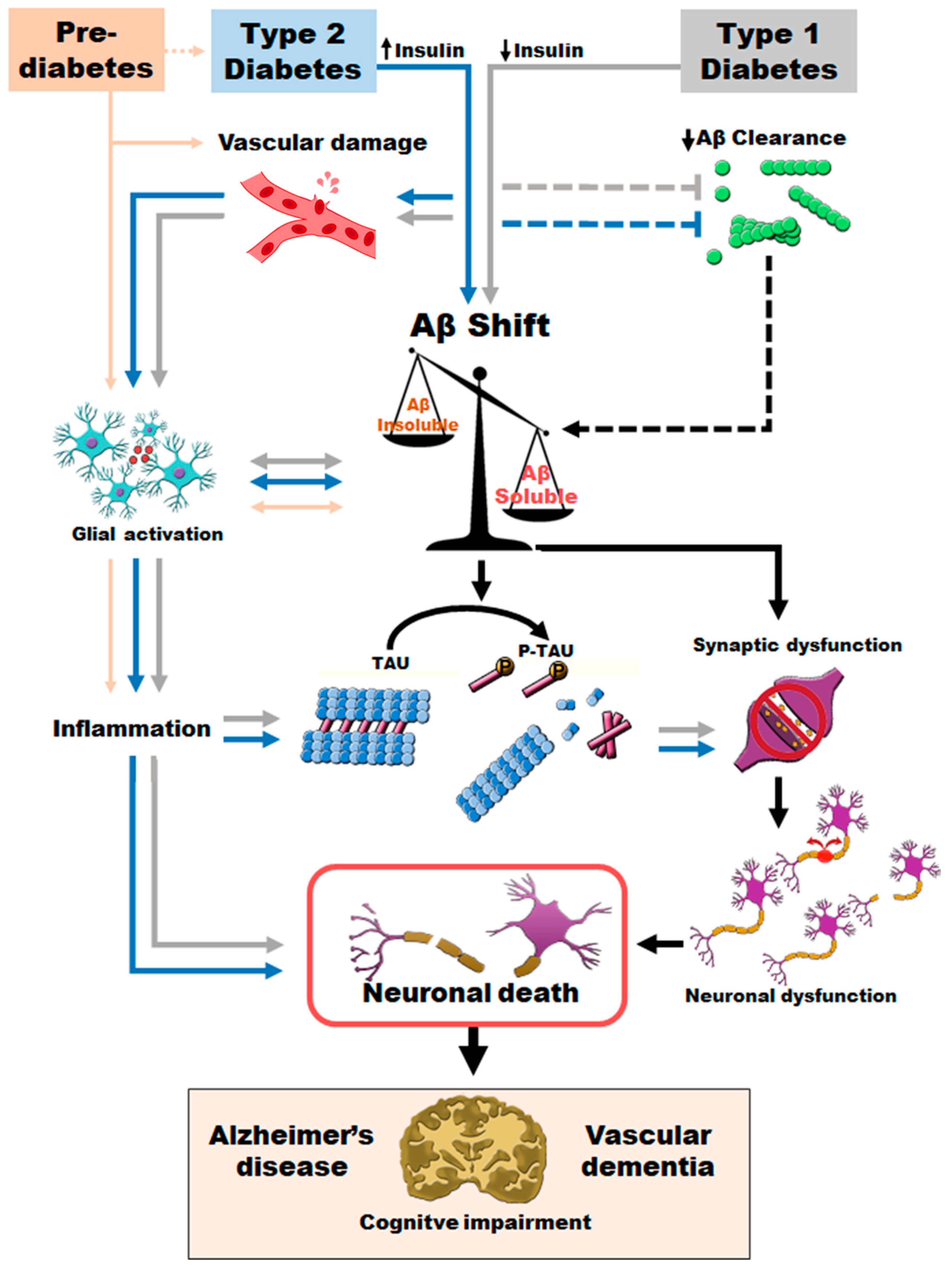 Neurolint 15 00079 g004 Neurolint 15 00079 g004