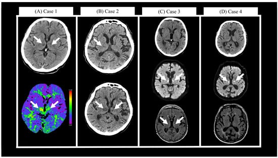 Neurolint 15 00085 g001