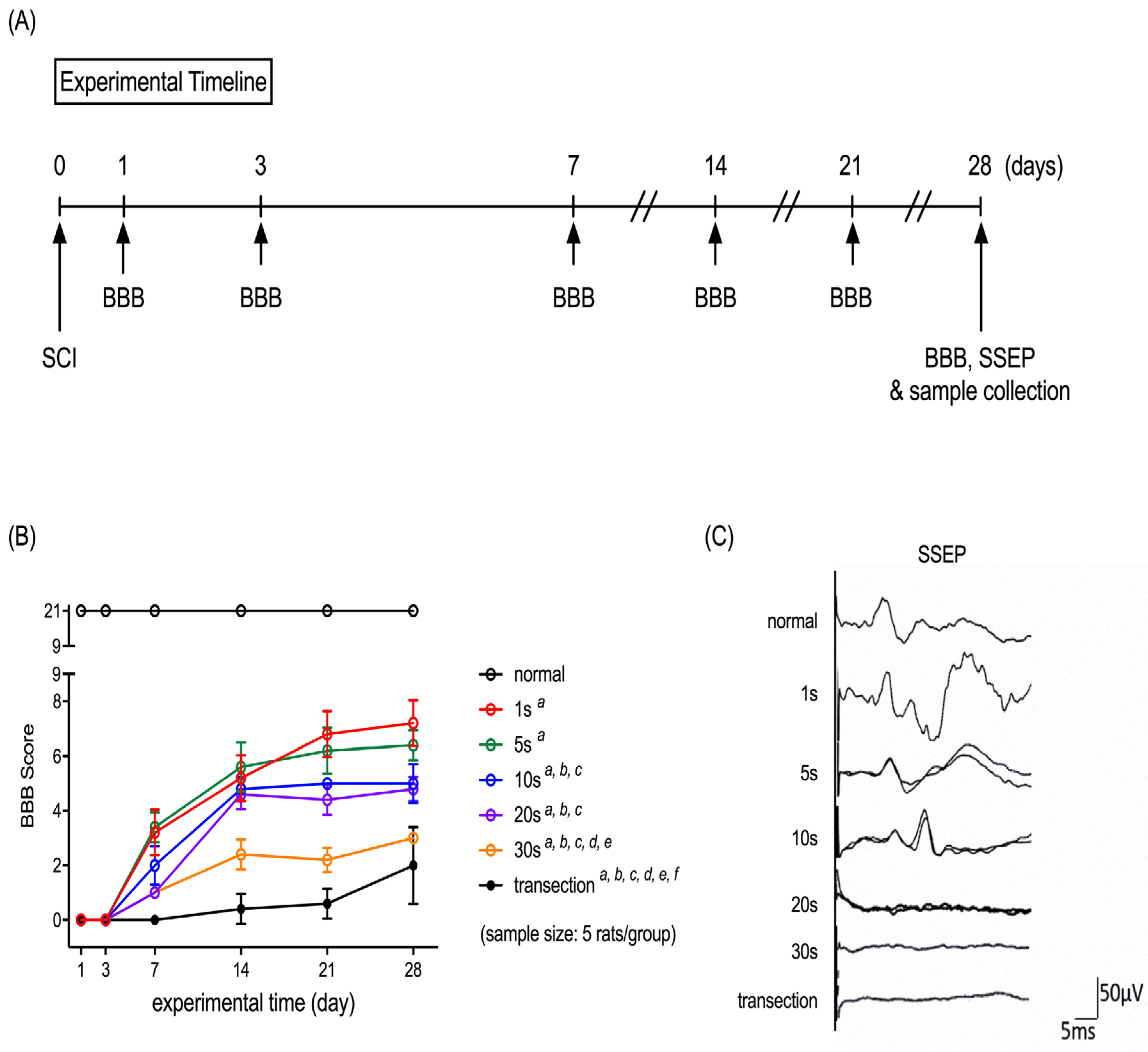 Neurolint 15 00088 g001