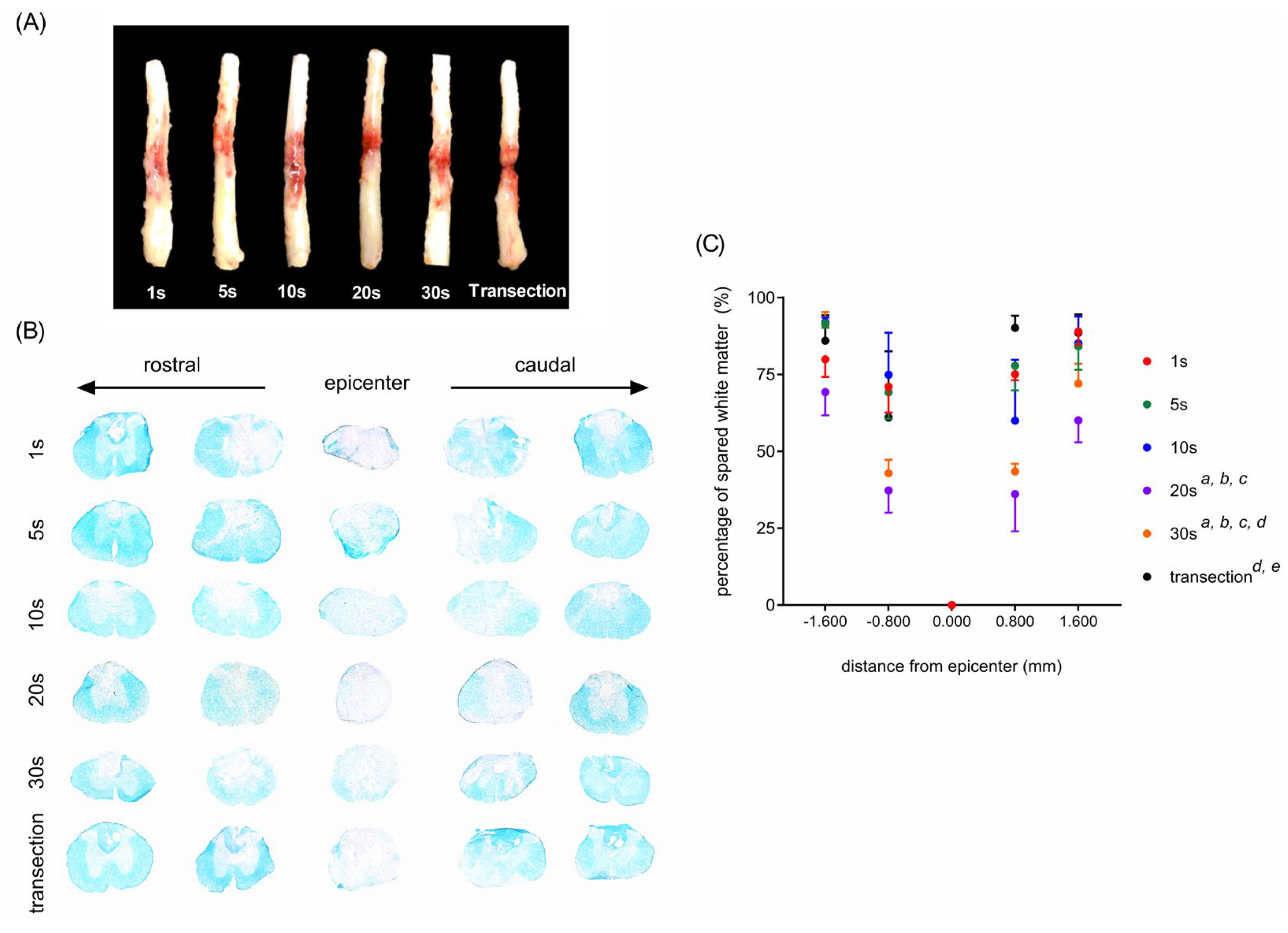 Neurolint 15 00088 g002