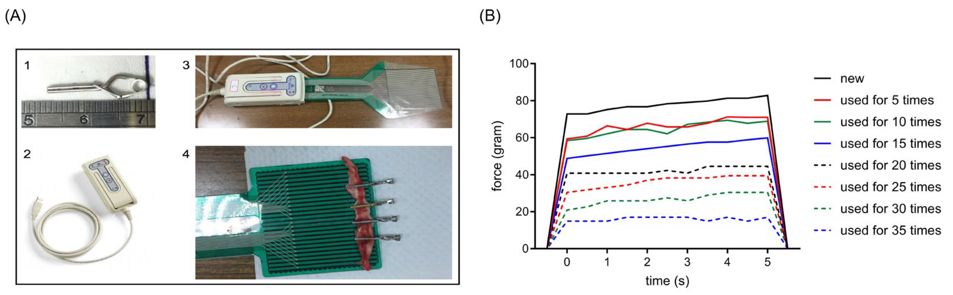 Neurolint 15 00088 g003