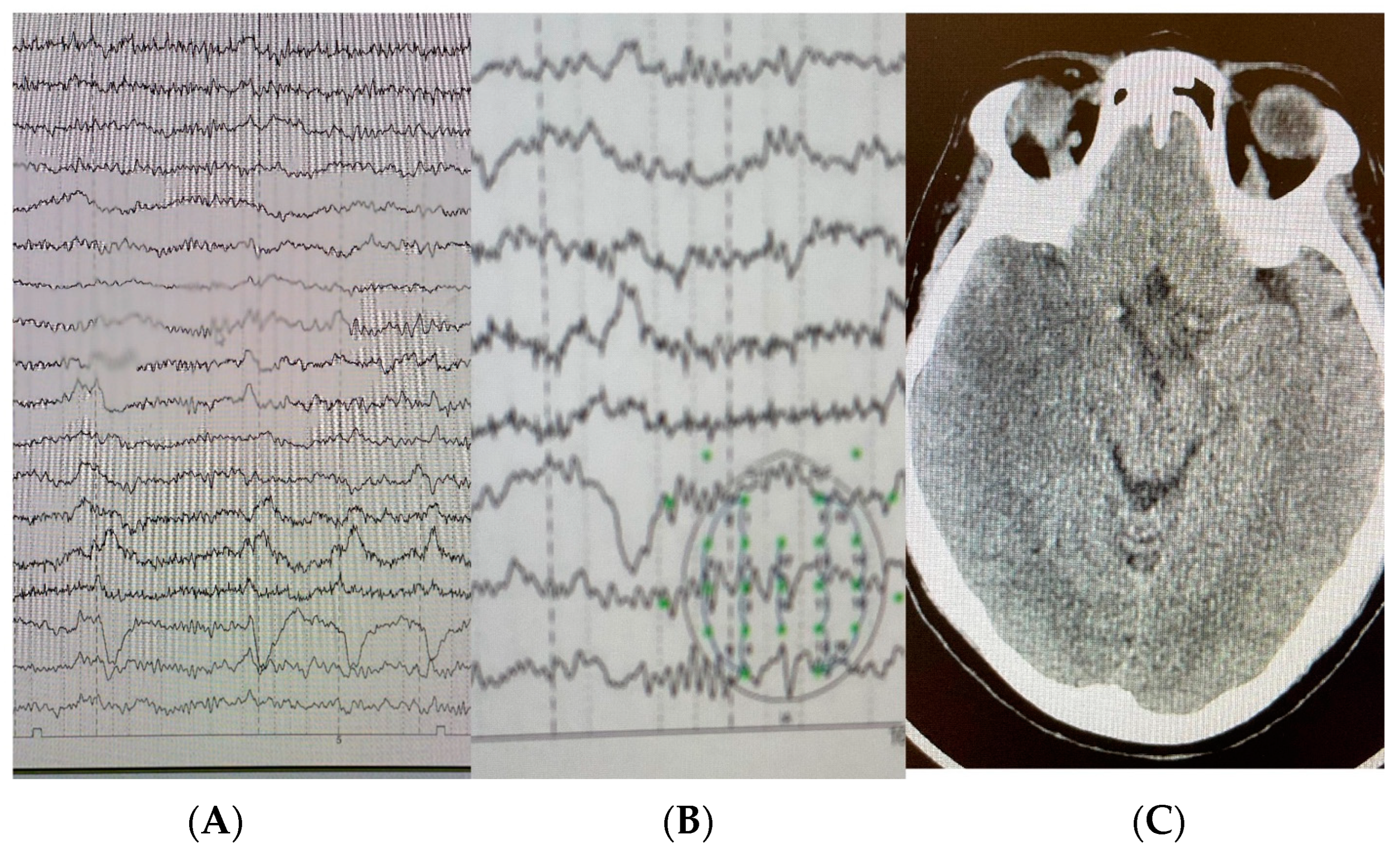 Neurolint 15 00090 g001