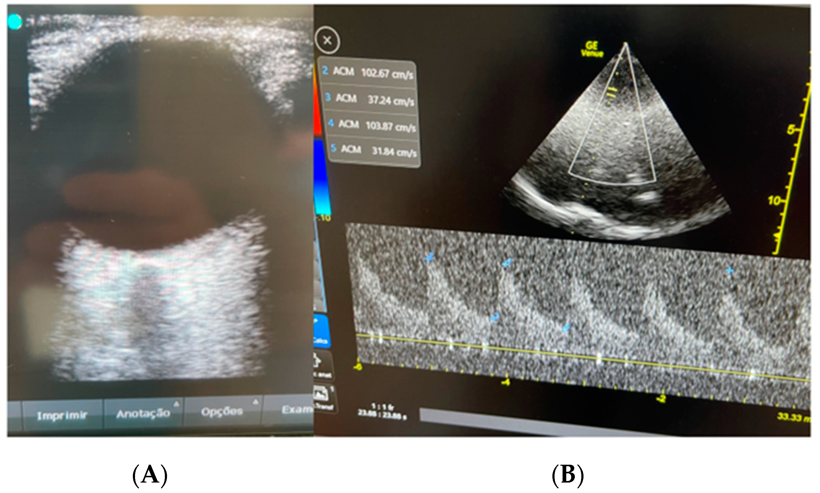 Neurolint 15 00090 g002