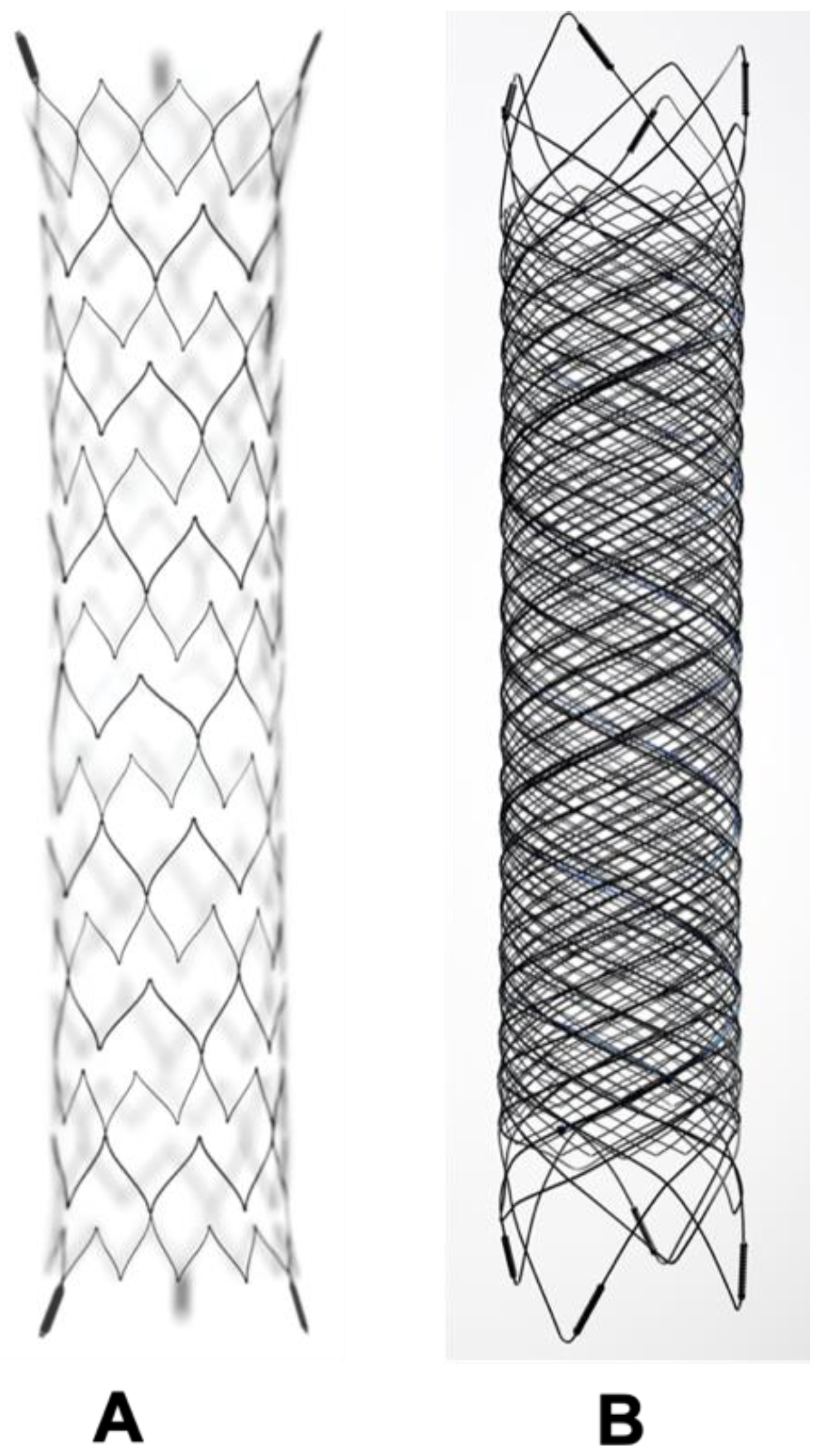 Neurolint 16 00005 g004 Neurolint 16 00005 g004