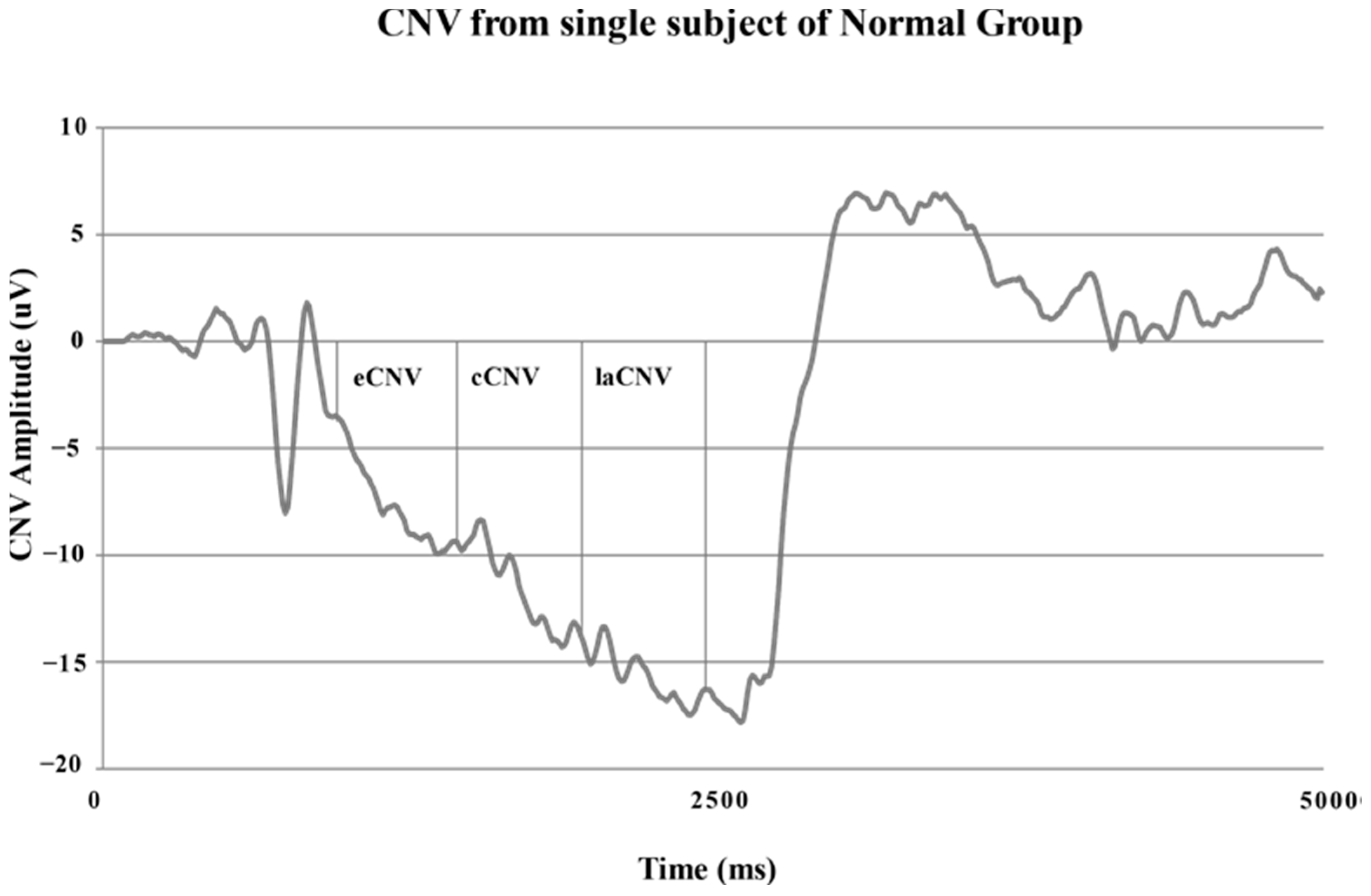 Neurolint 16 00008 g003