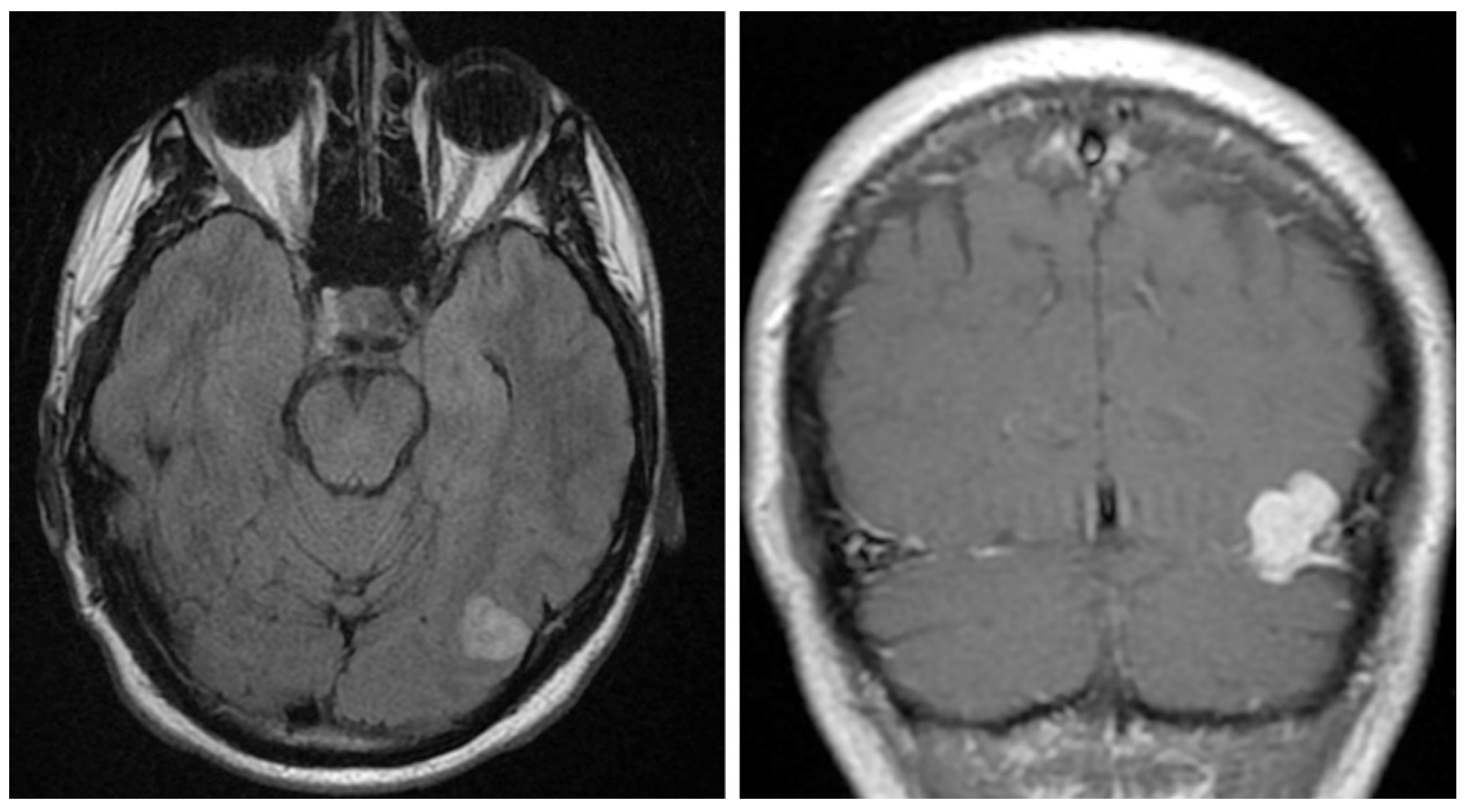 Neurolint 16 00010 g001 Neurolint 16 00010 g001