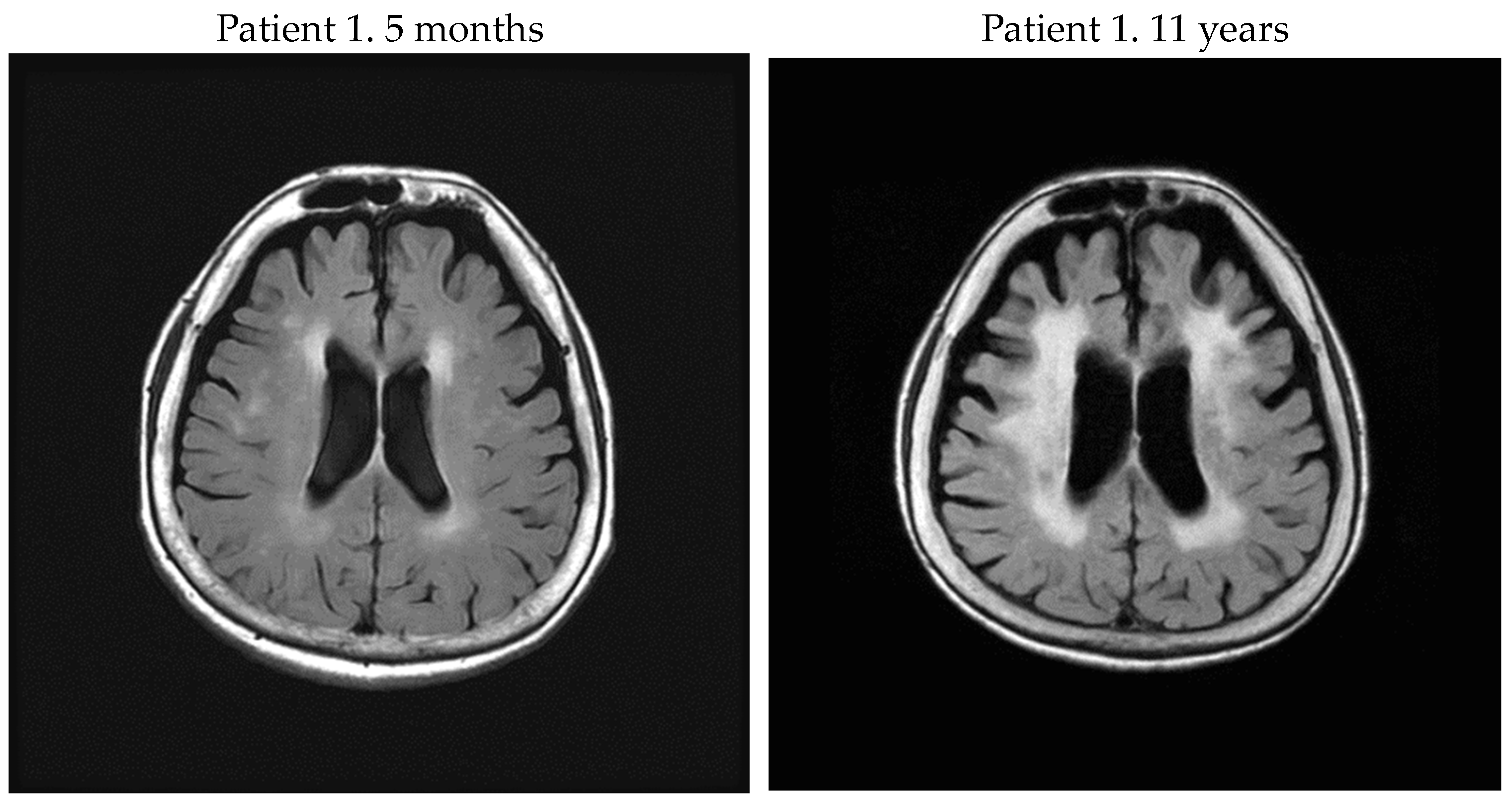 Neurolint 16 00013 g001a