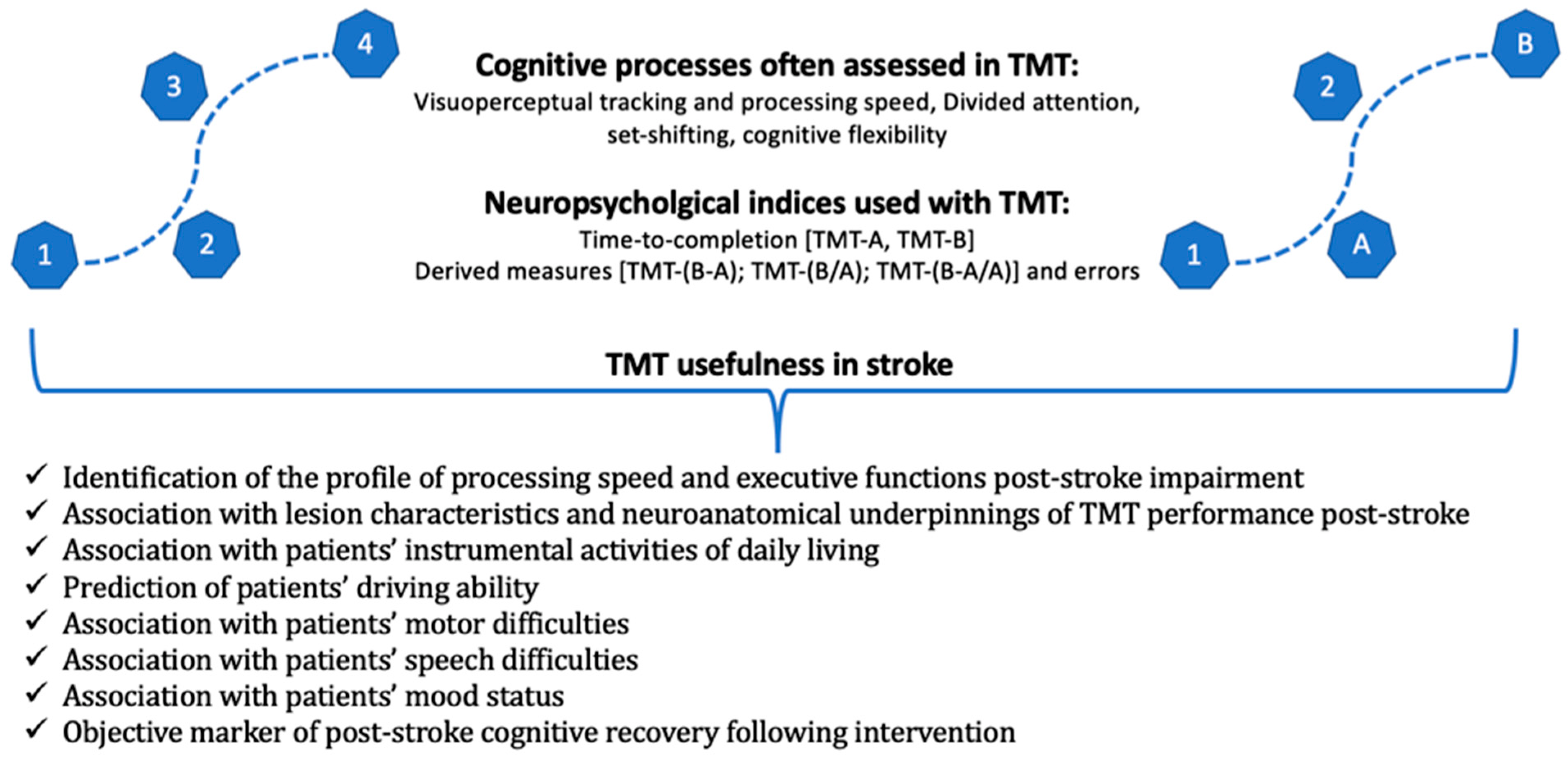 Neurolint 16 00014 g001