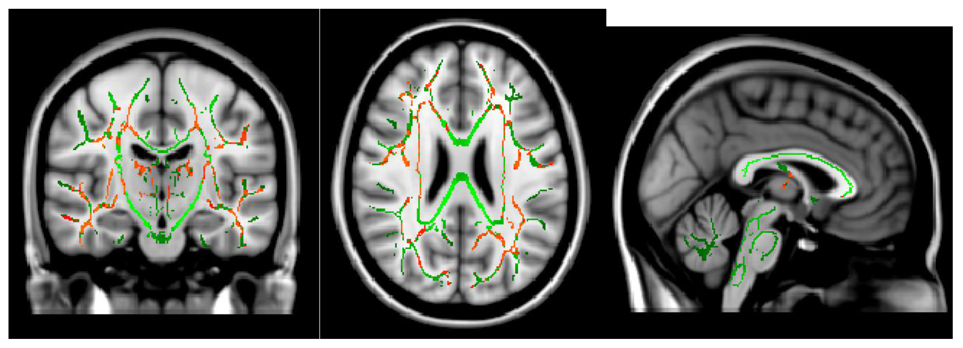 Neurolint 16 00021 g002