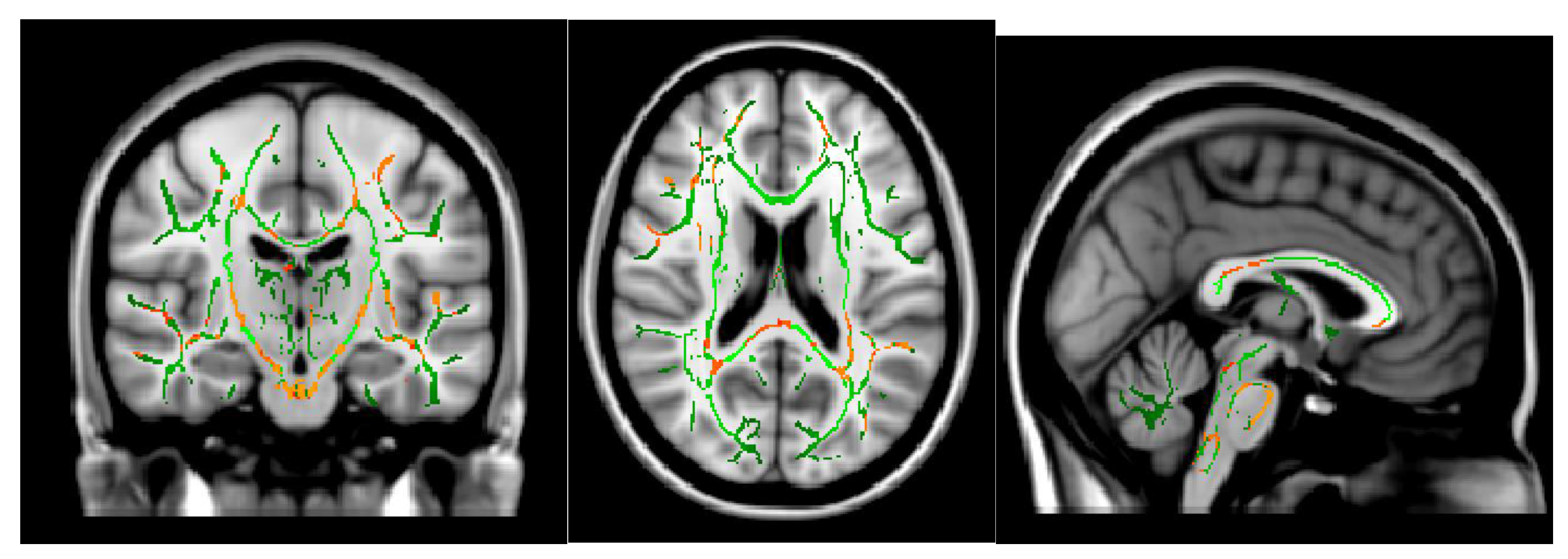 Neurolint 16 00021 g004