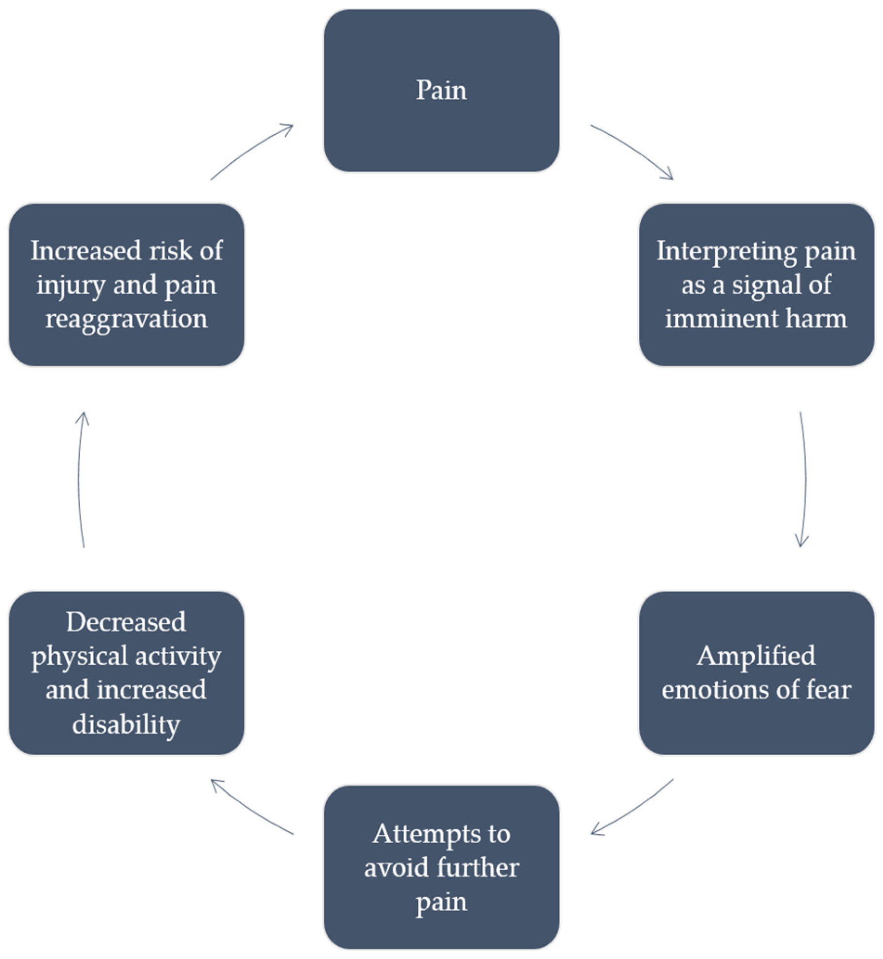 Neurolint 16 00036 g002