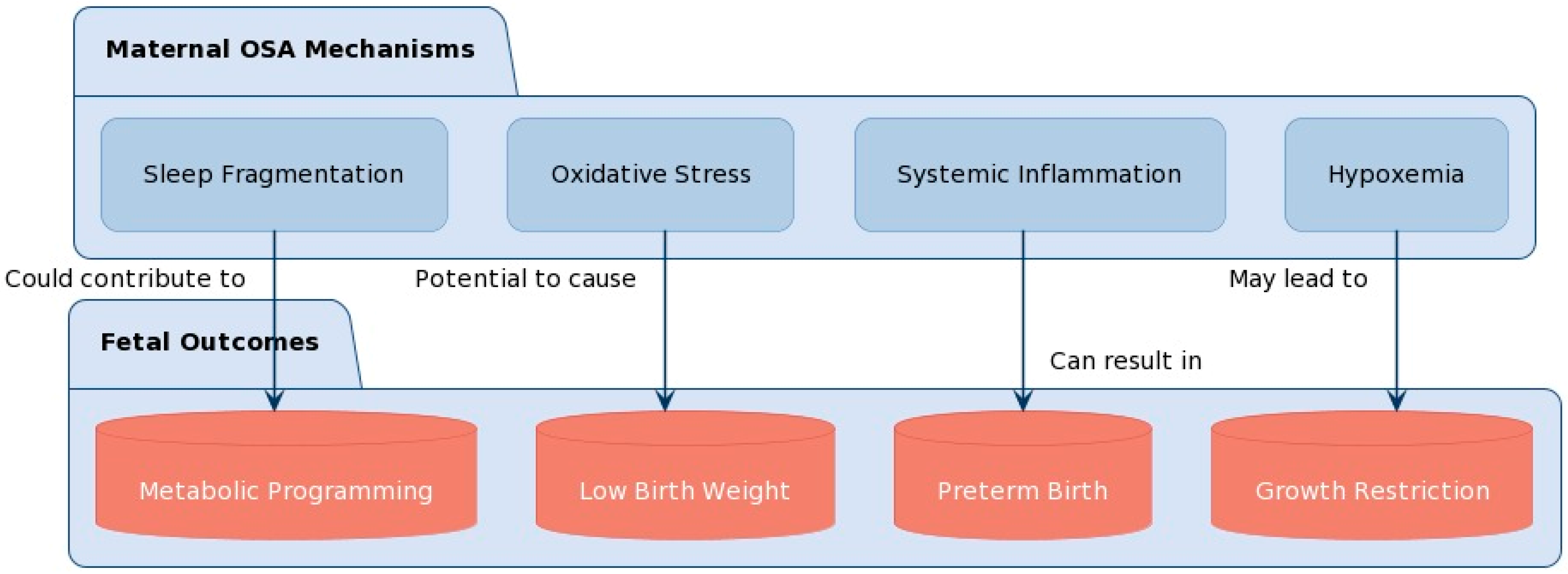 Neurolint 16 00039 g001
