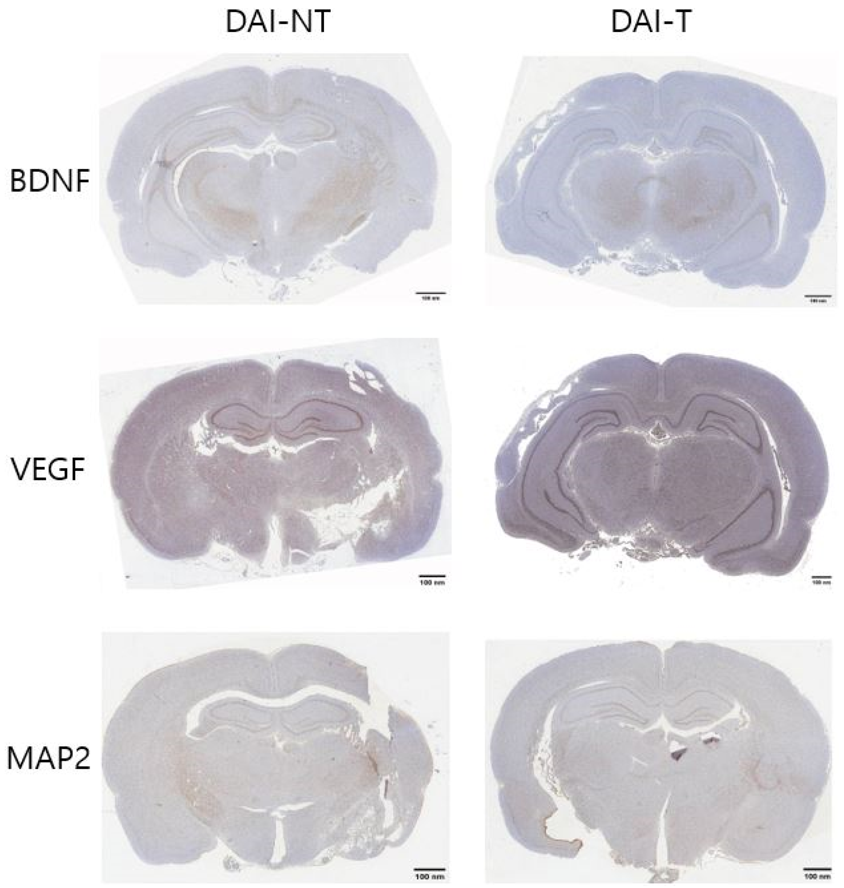 Neurolint 16 00052 g005
