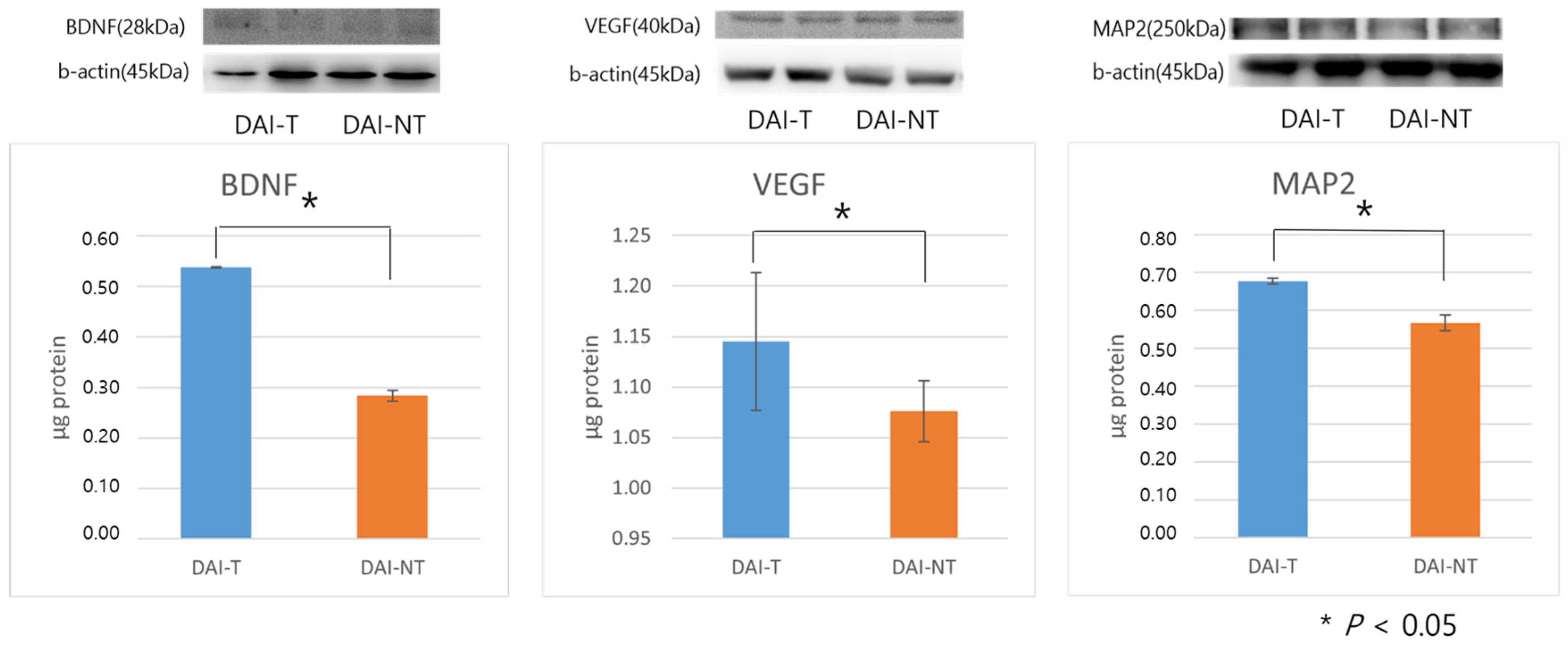 Neurolint 16 00052 g006