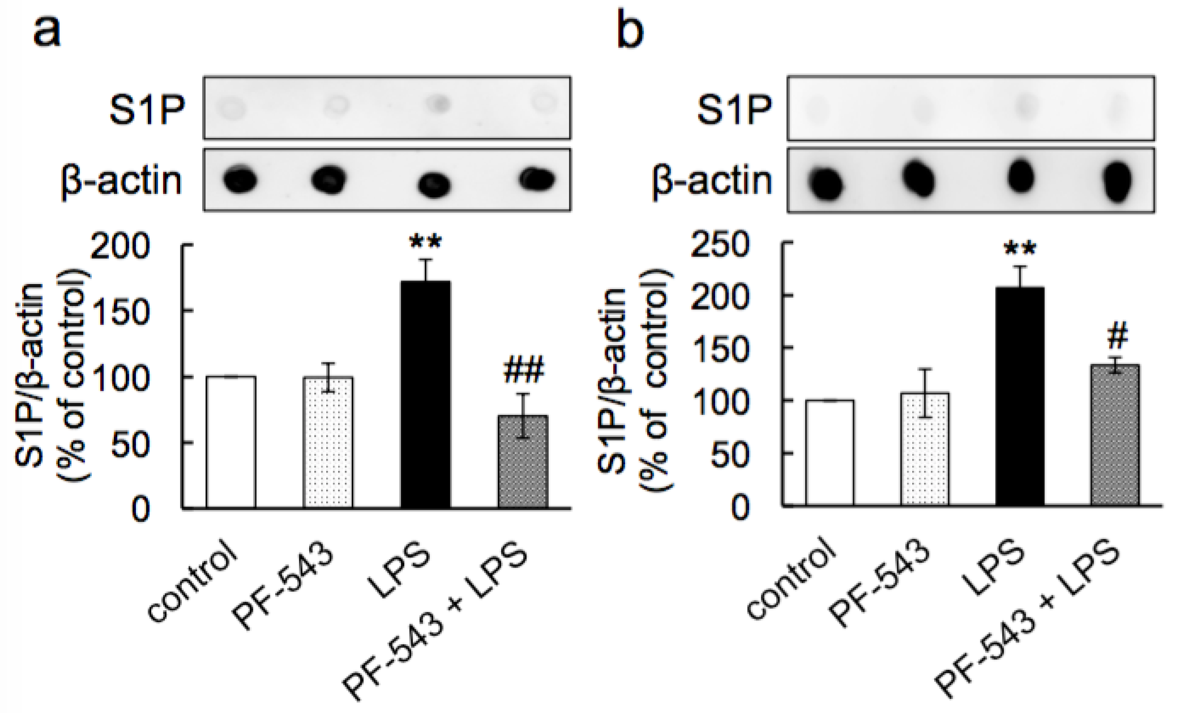 Neurolint 16 00054 g002