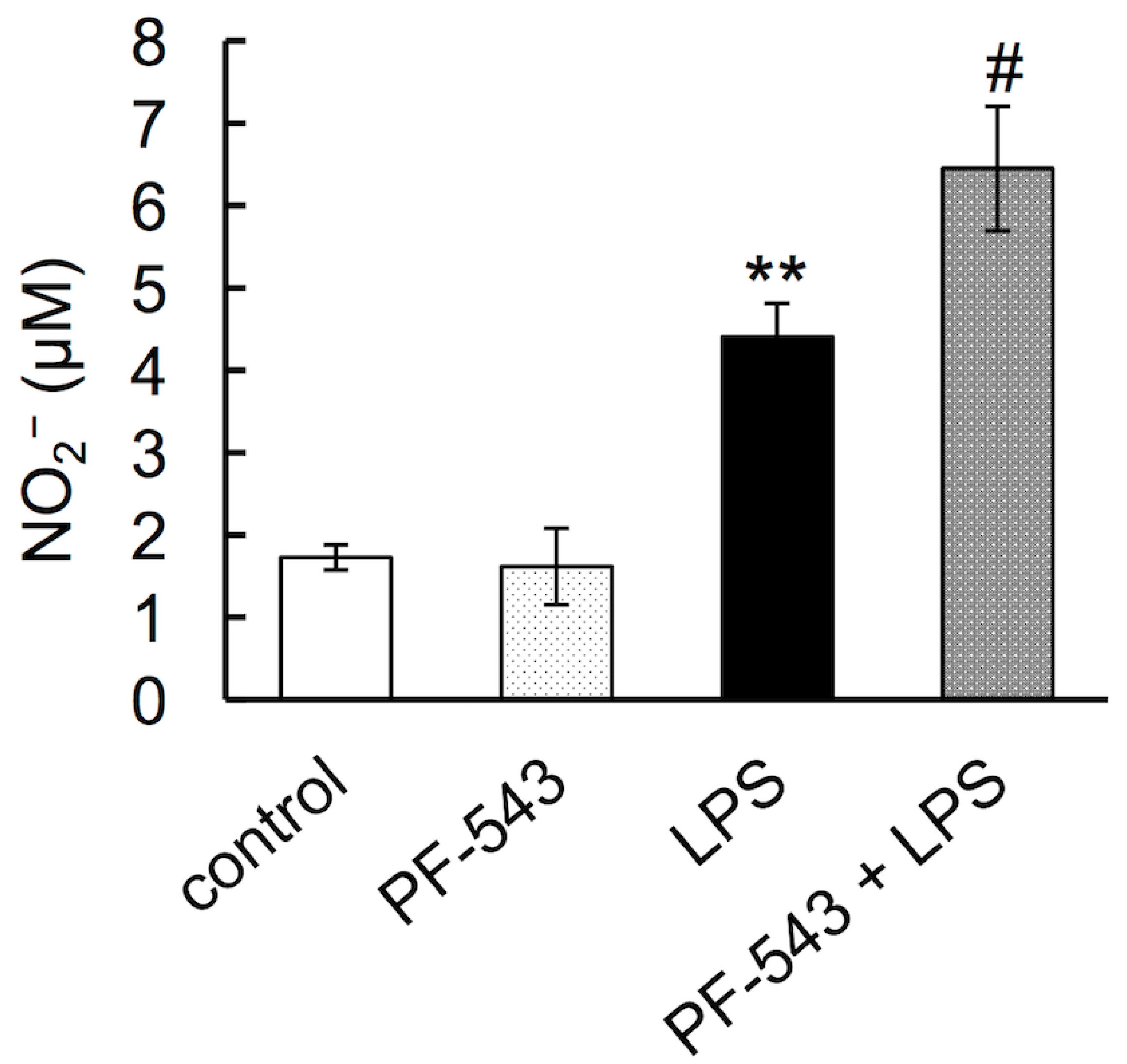 Neurolint 16 00054 g003