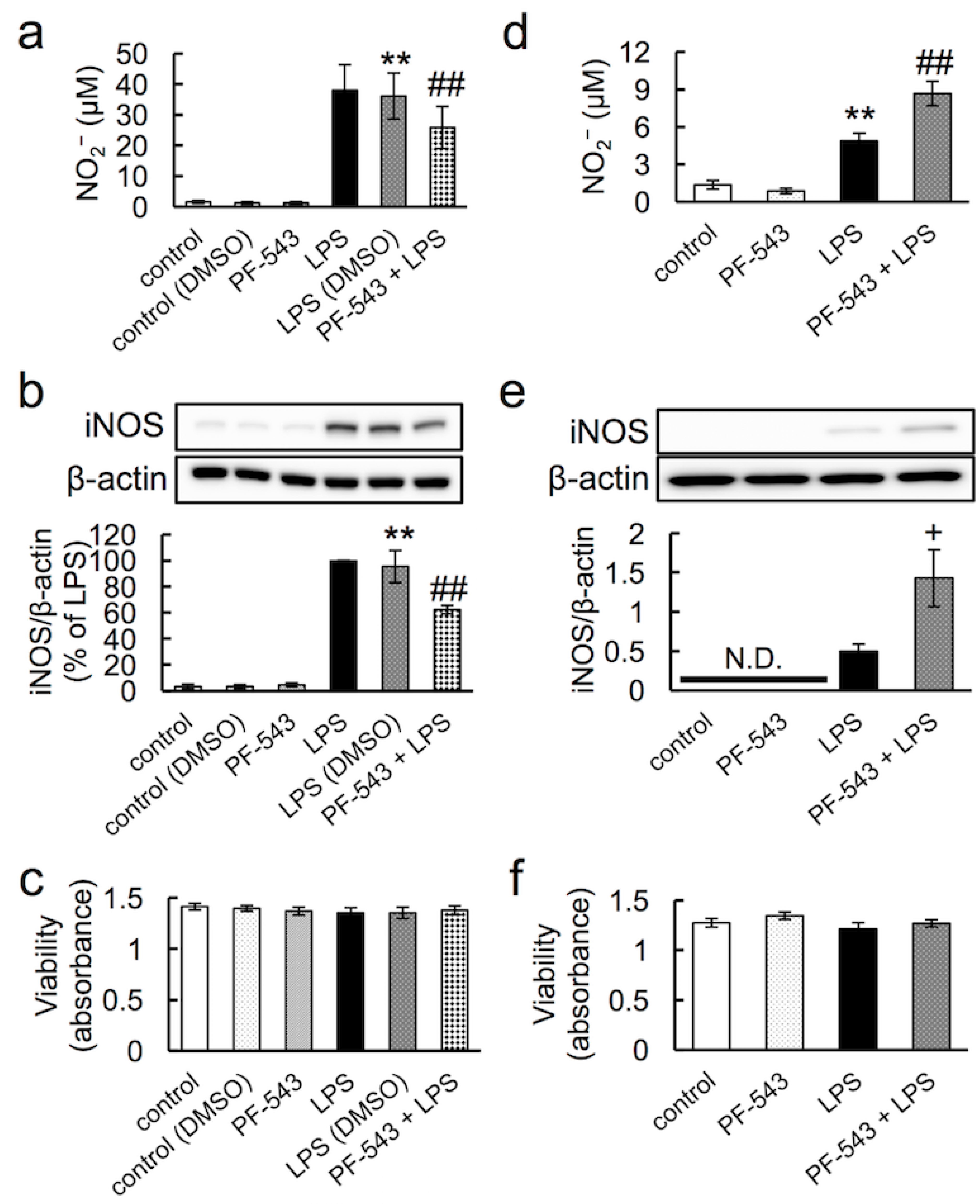 Neurolint 16 00054 g004
