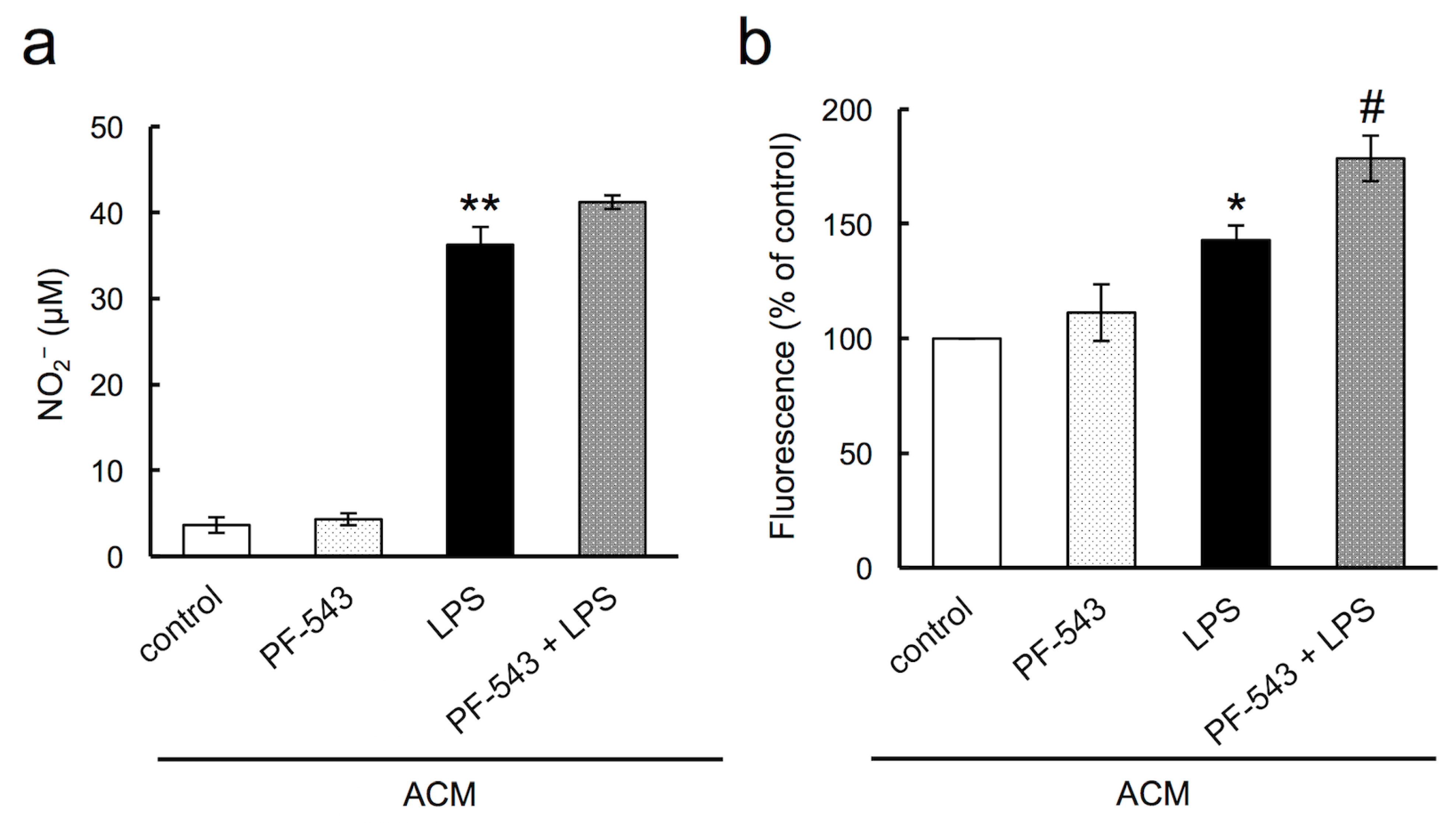 Neurolint 16 00054 g006
