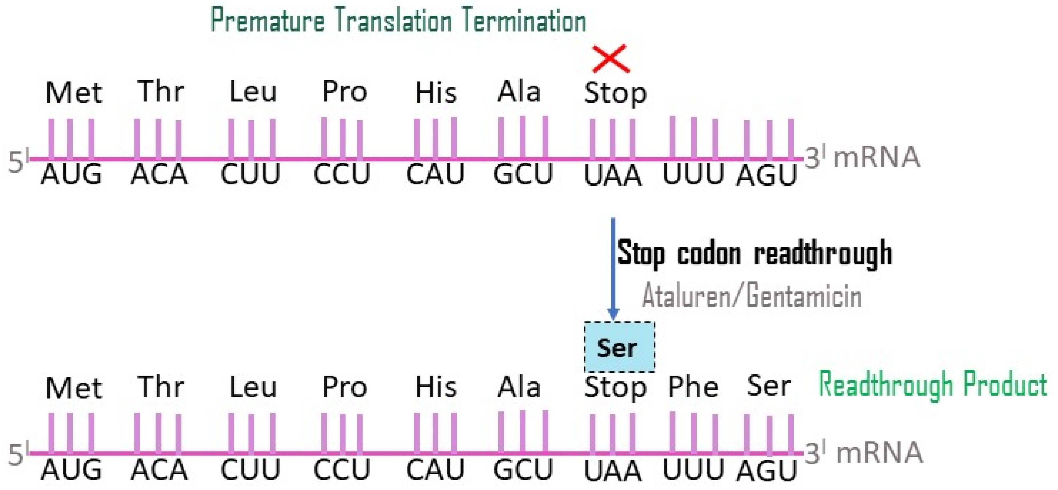 Neurolint 16 00055 g008