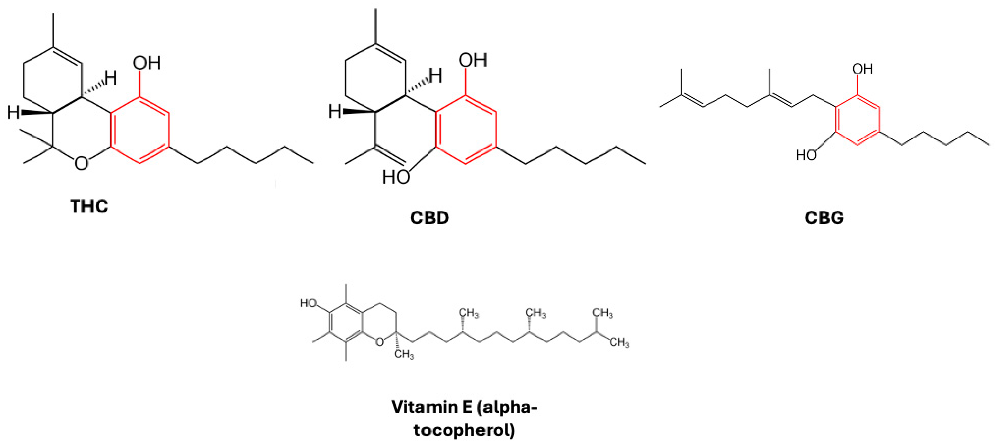 Neurolint 16 00057 g001
