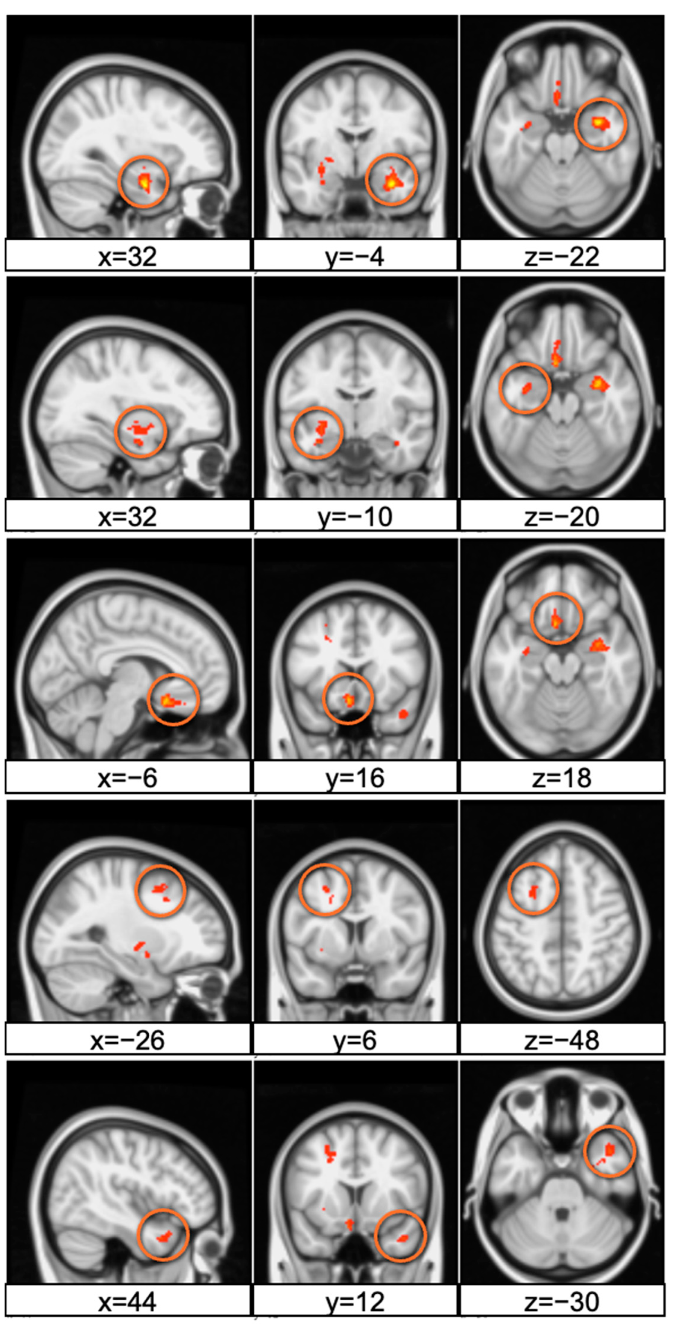 Neurolint 16 00069 g003