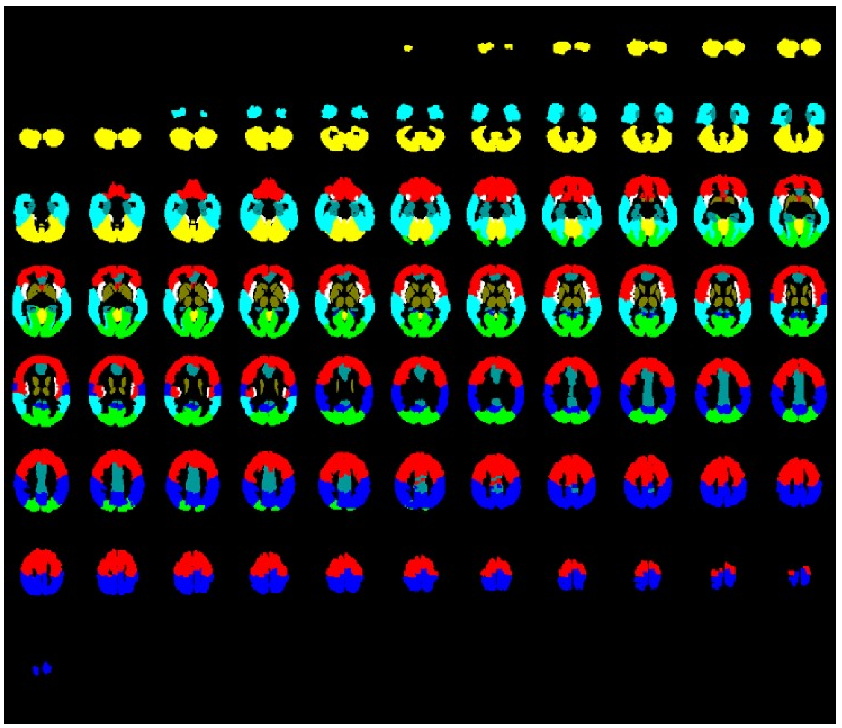Neurolint 16 00075 g001