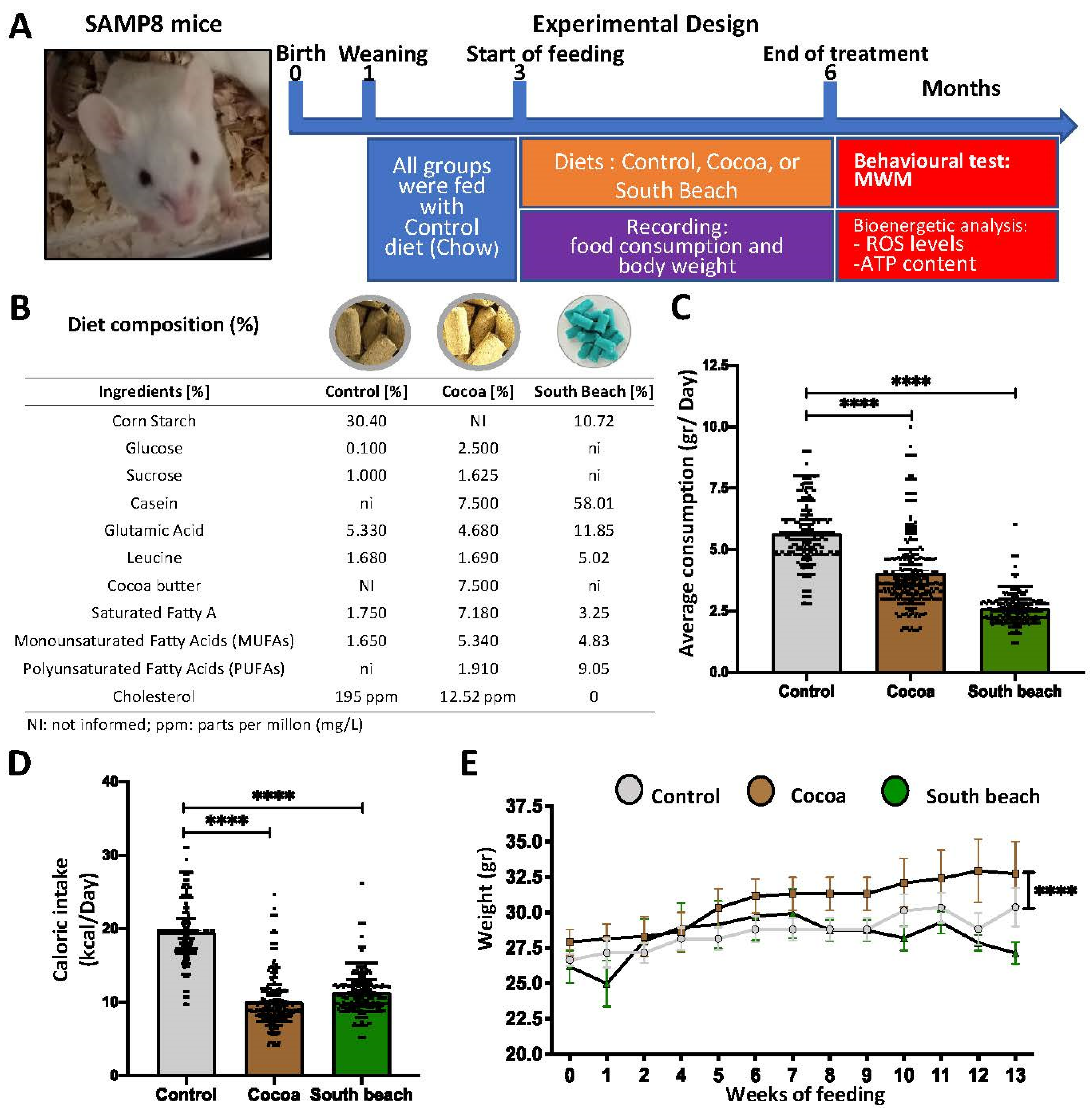 Neurolint 16 00080 g001