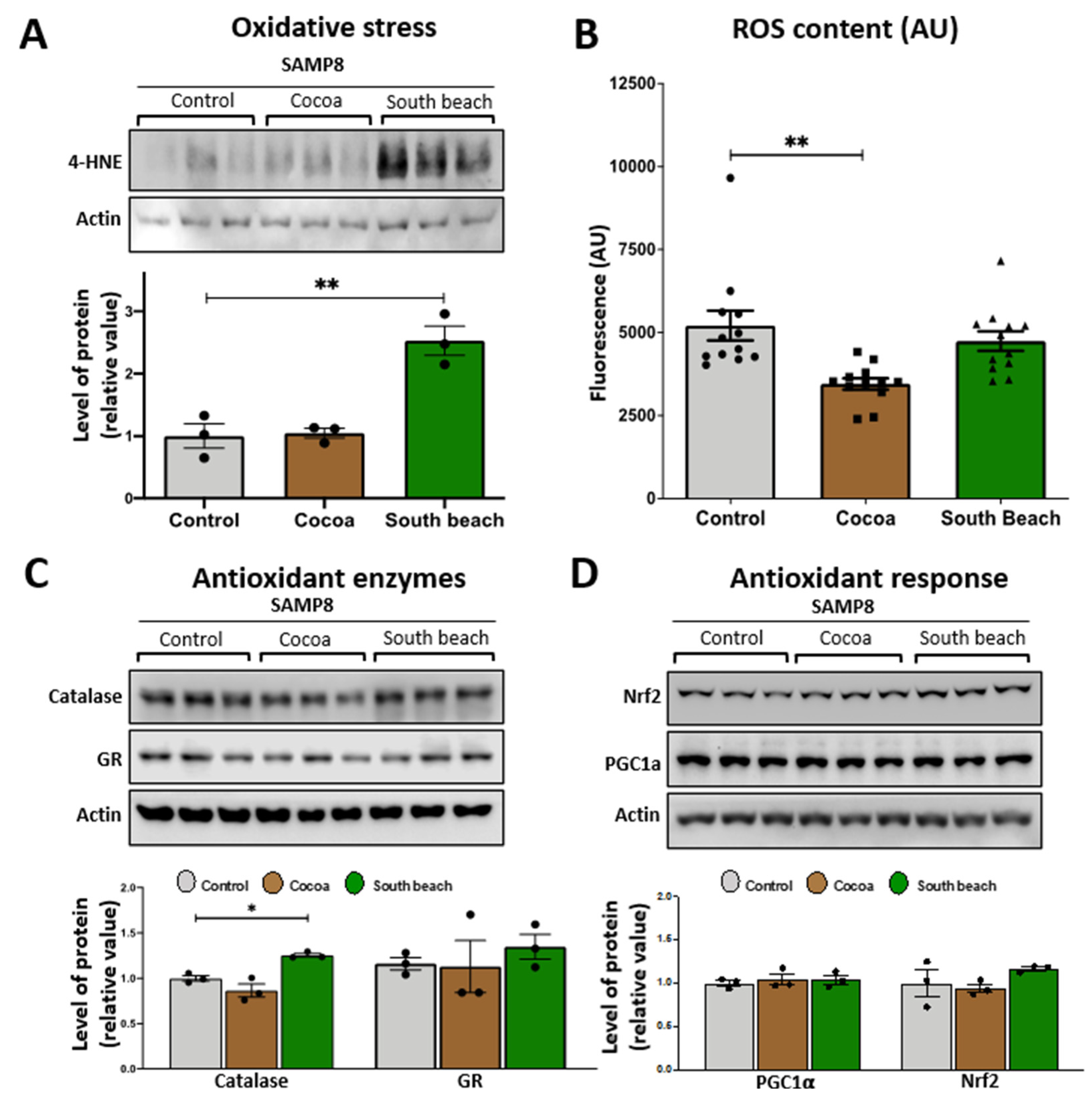 Neurolint 16 00080 g002