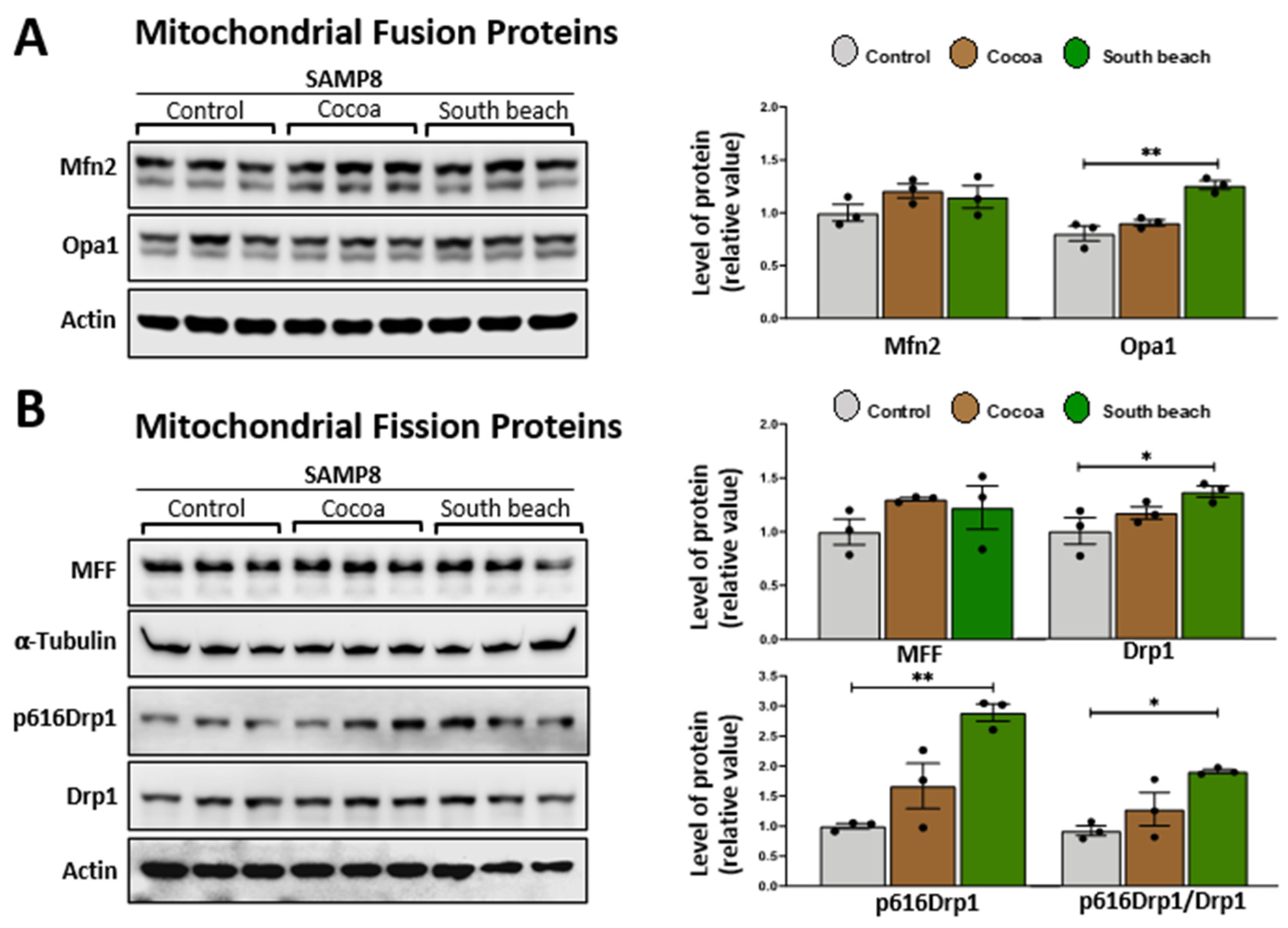 Neurolint 16 00080 g003