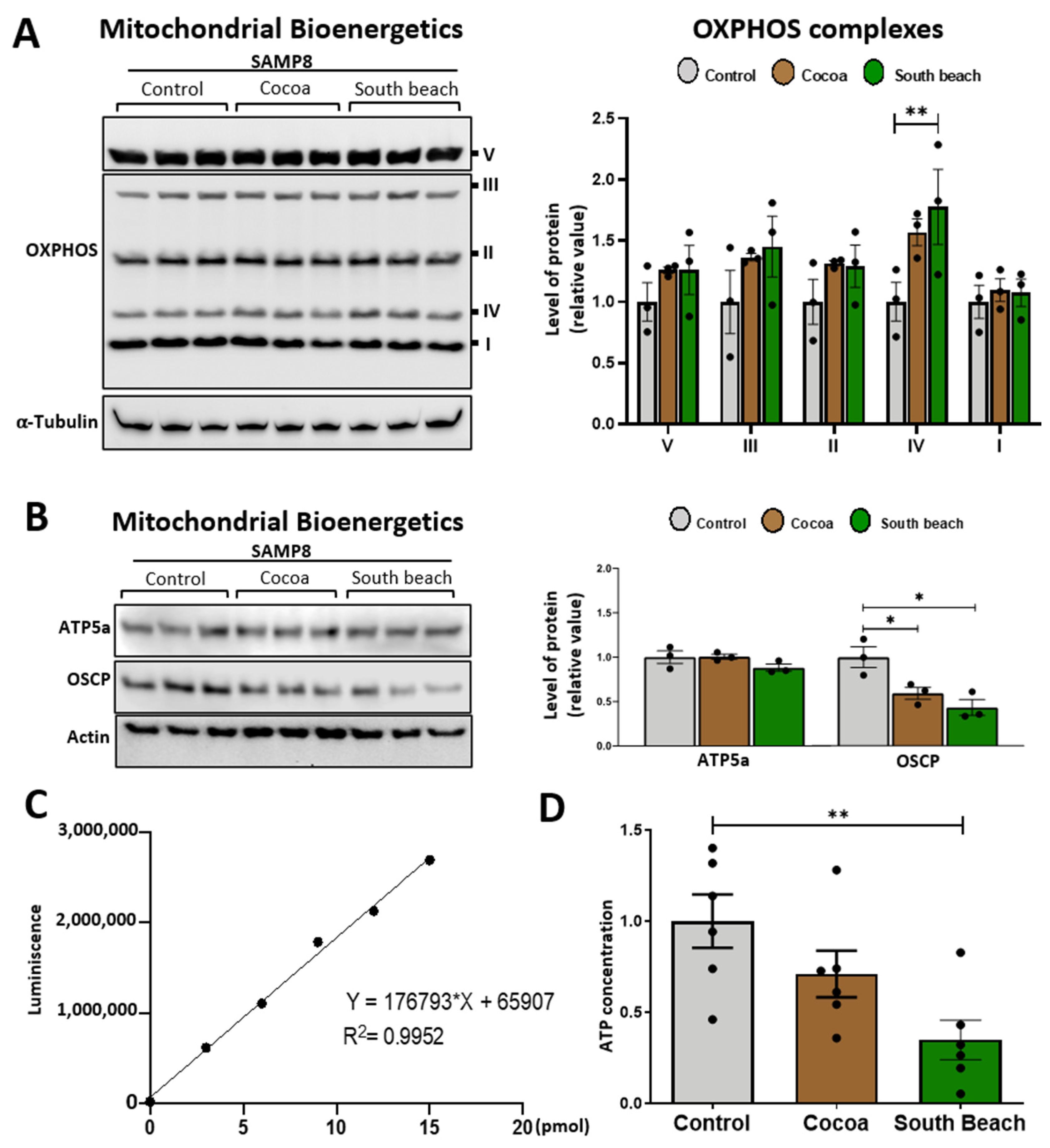 Neurolint 16 00080 g004