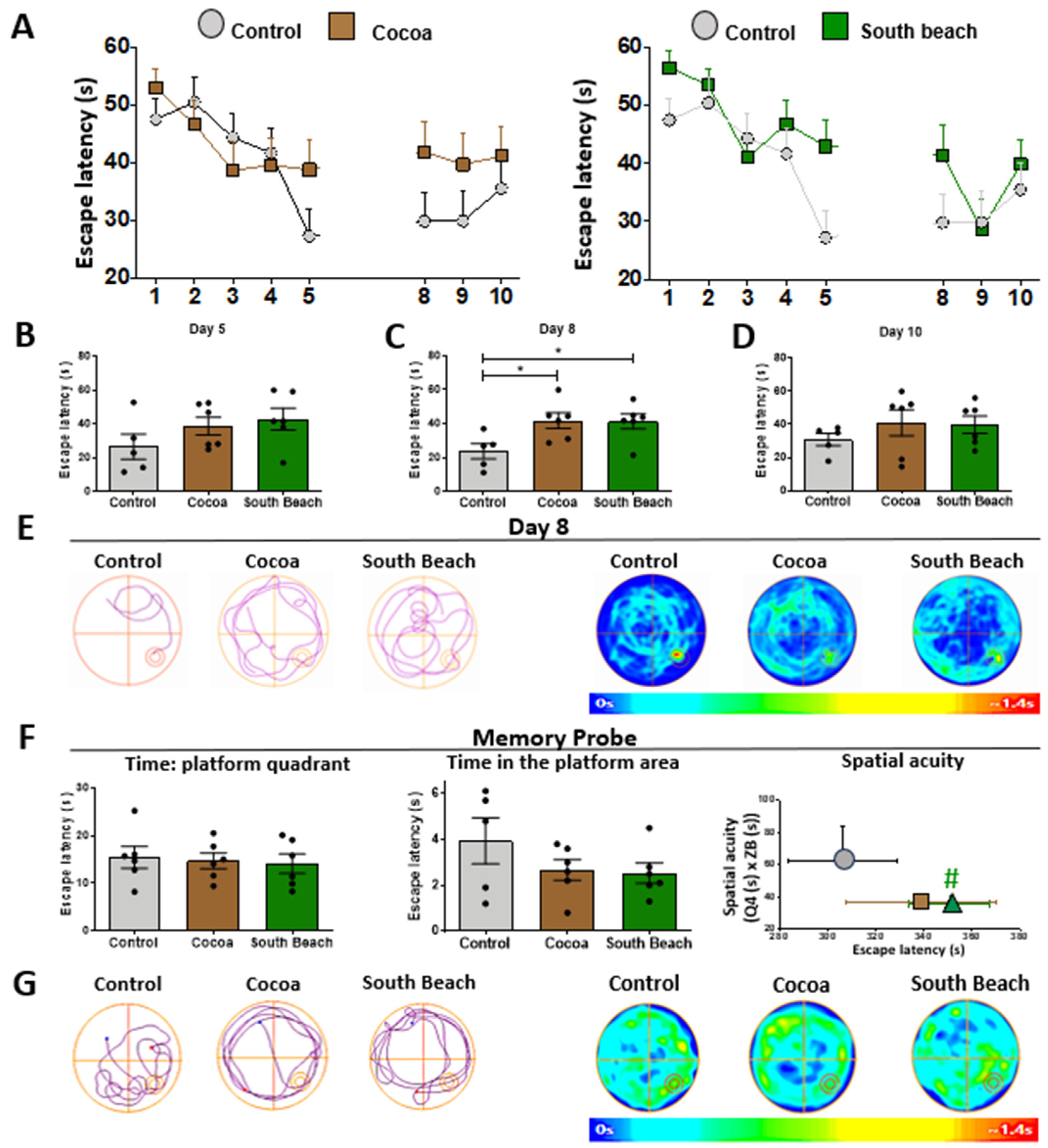 Neurolint 16 00080 g006