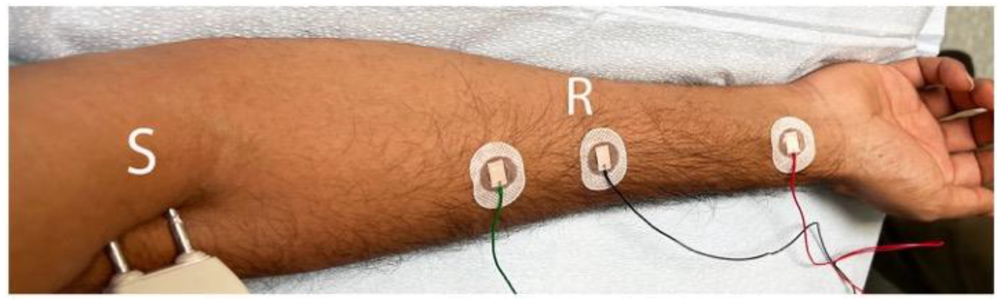 Neurolint 16 00086 g002 Neurolint 16 00086 g002
