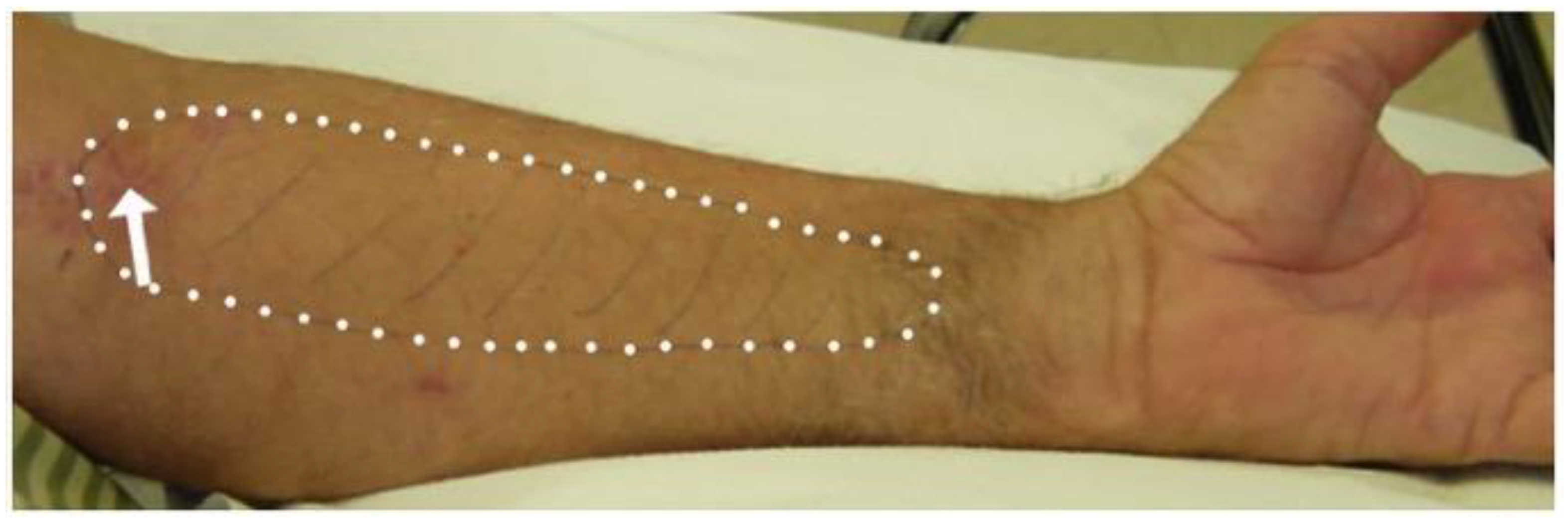 Neurolint 16 00086 g004 Neurolint 16 00086 g004