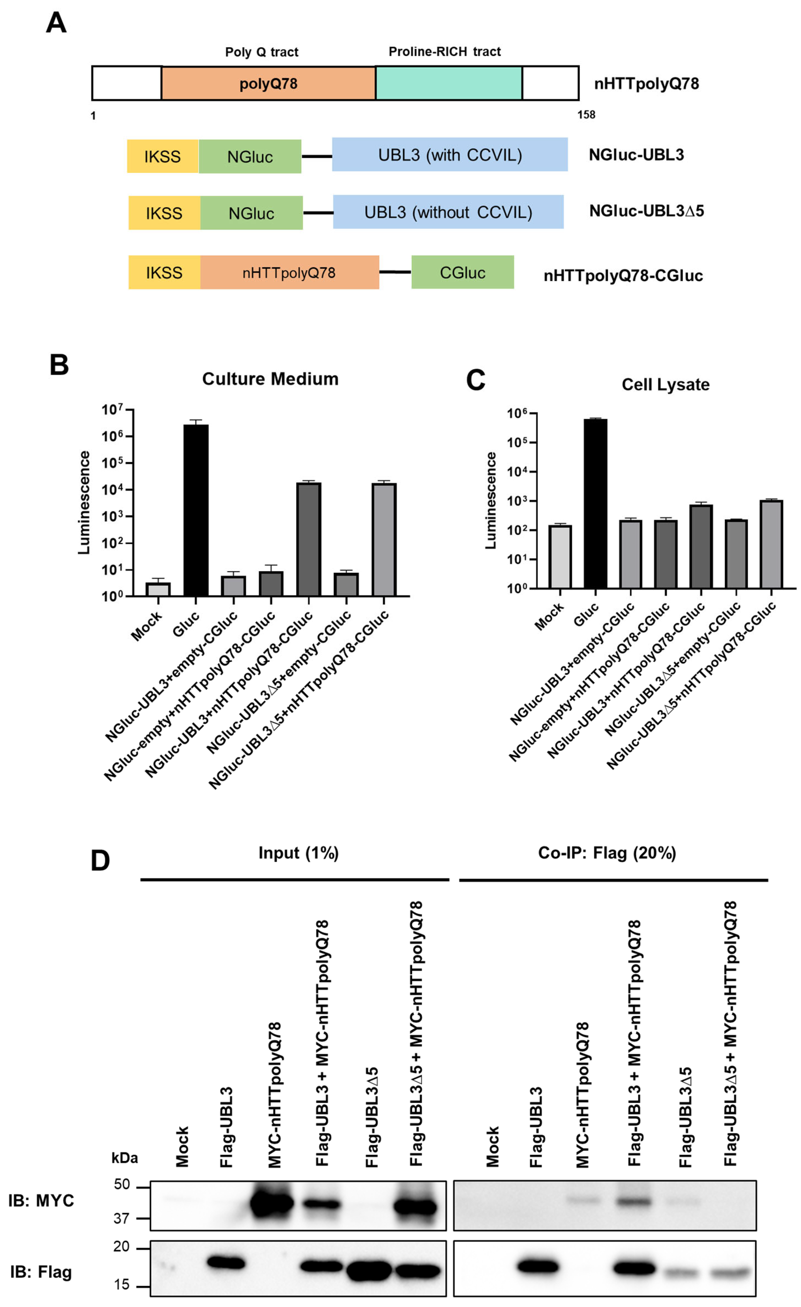 Neurolint 16 00089 g002
