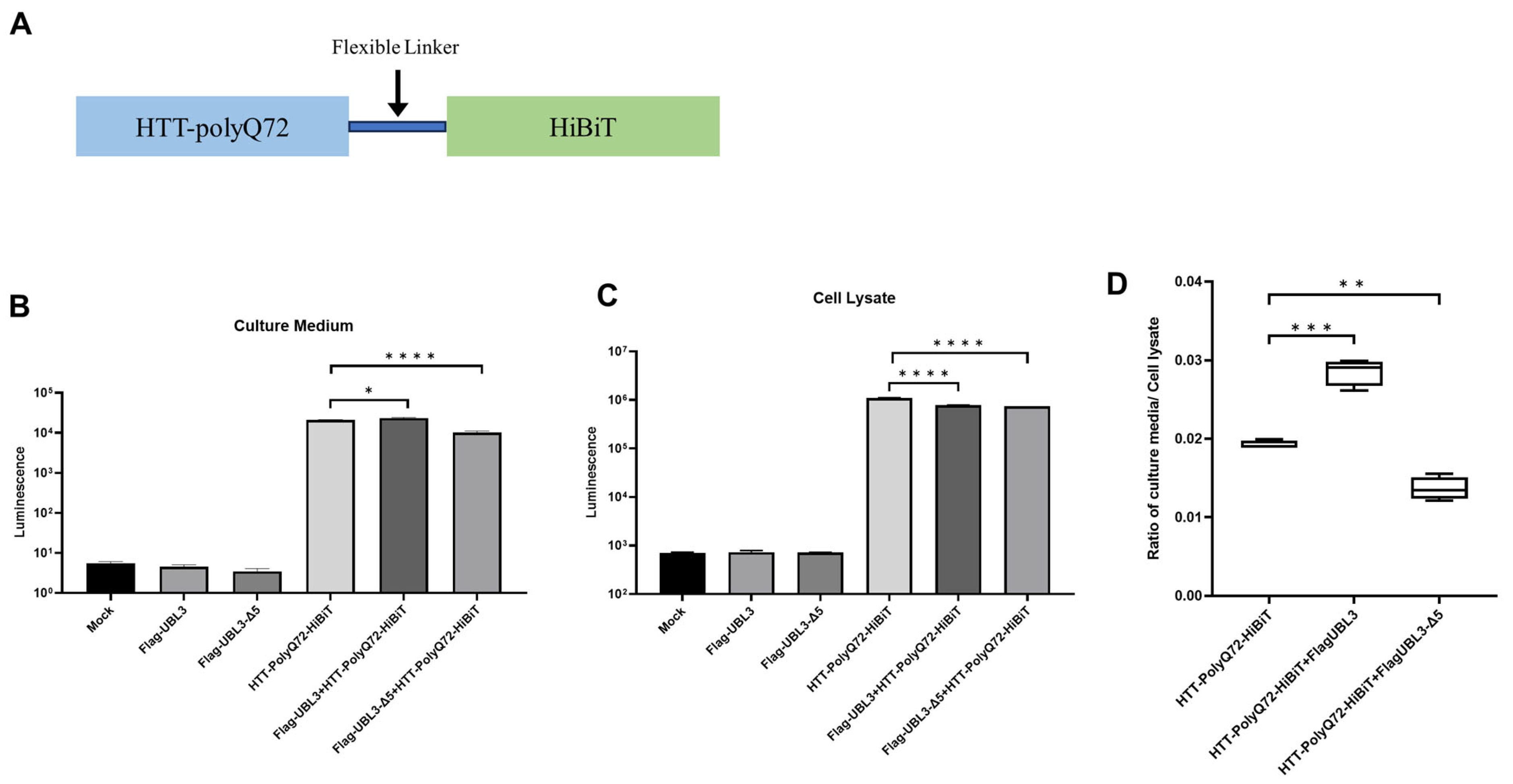 Neurolint 16 00089 g003