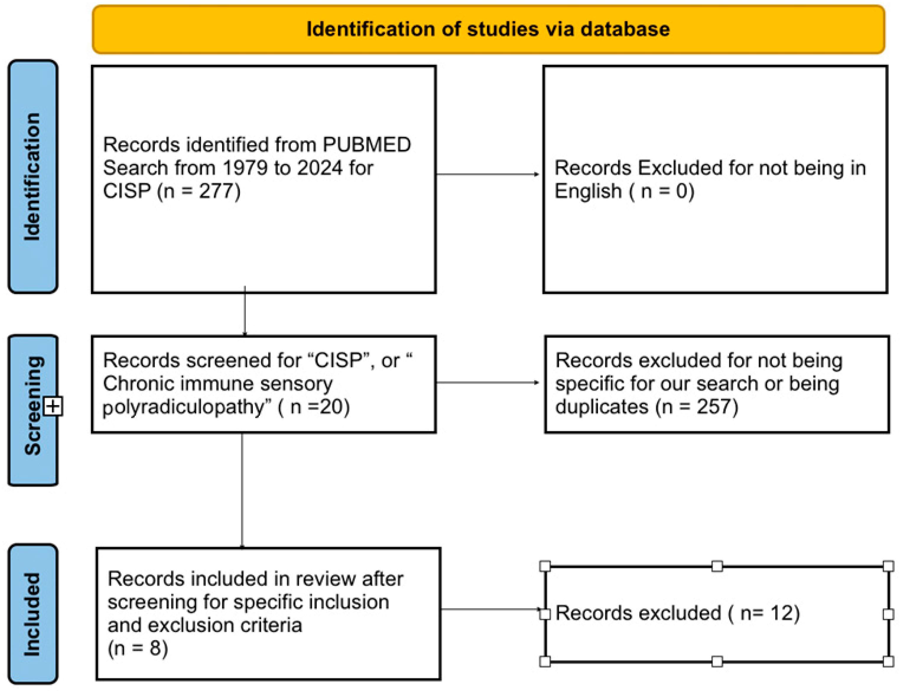 Neurolint 16 00092 g001