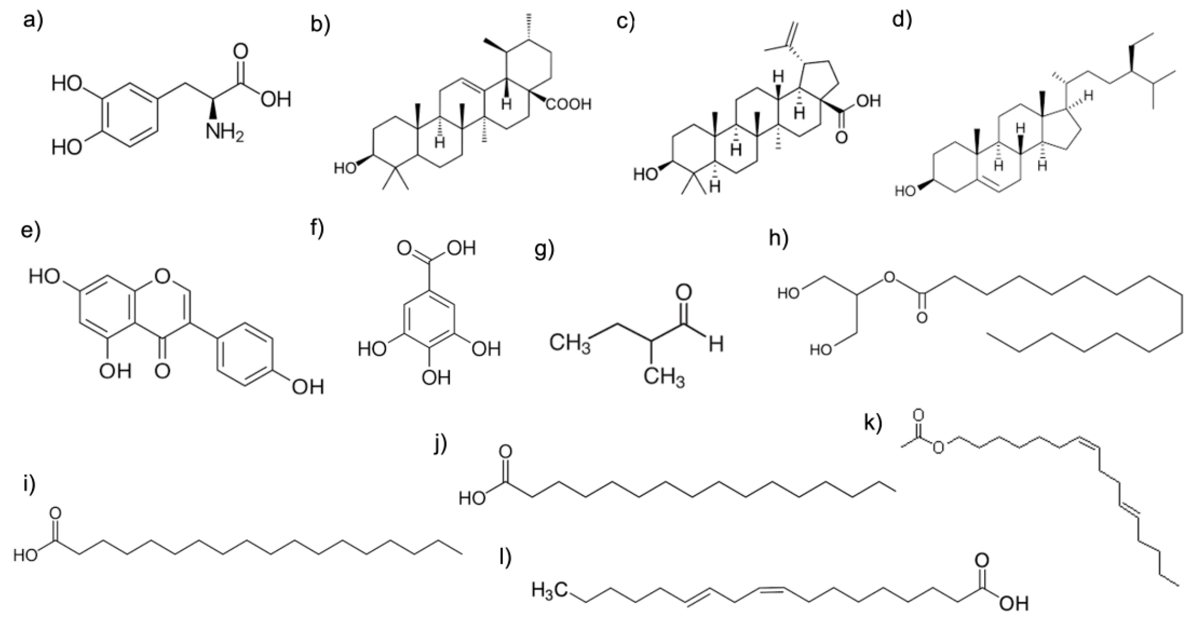 Neurolint 16 00112 g001