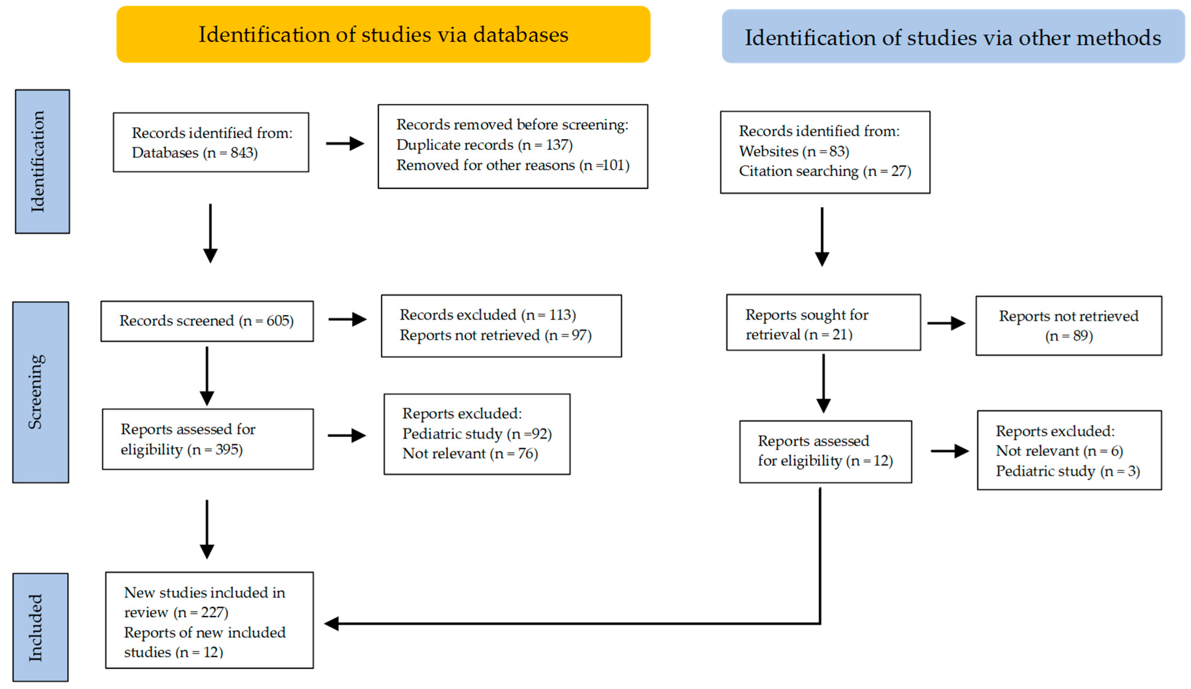 Neurolint 16 00115 g001