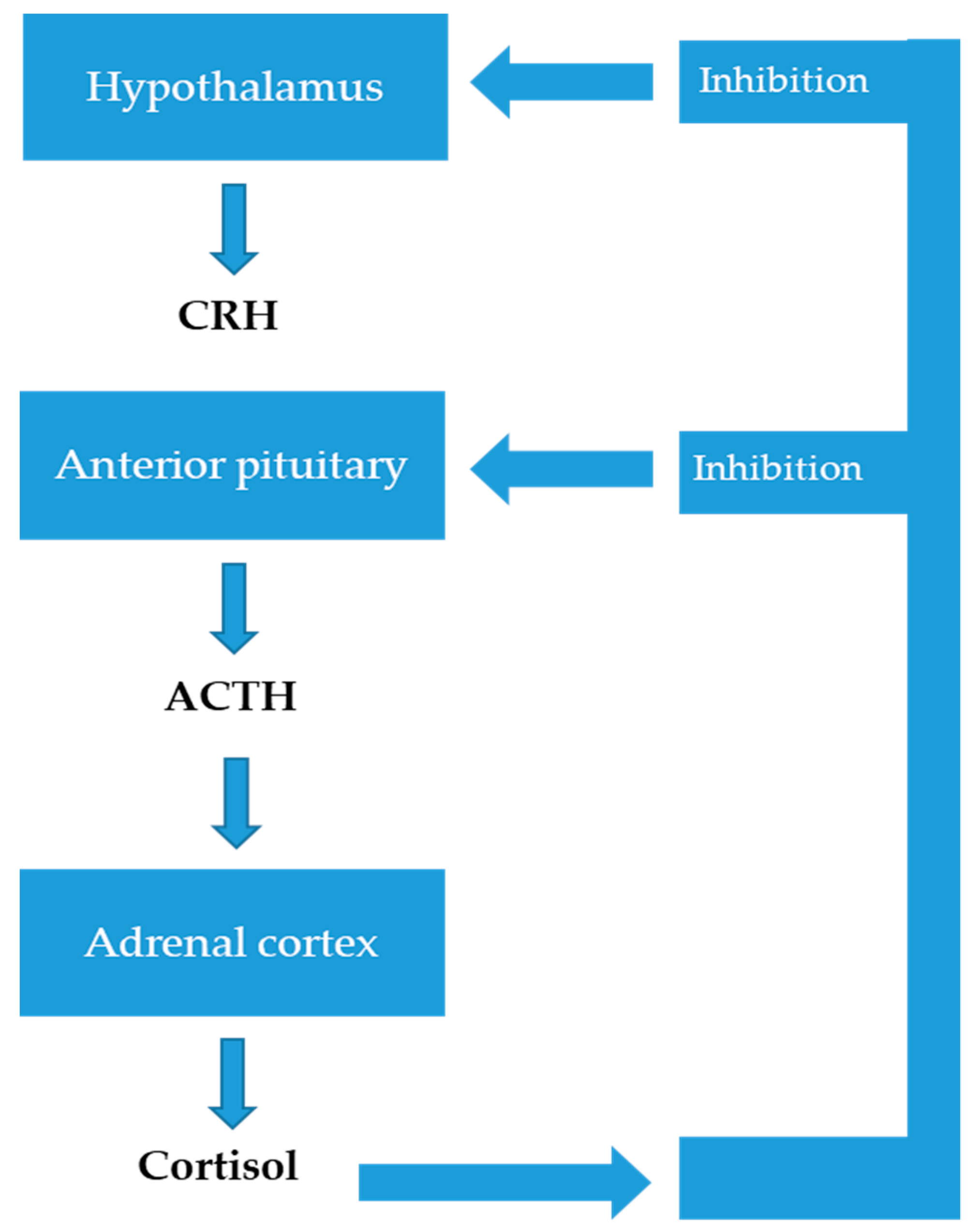 Neurolint 16 00115 g002