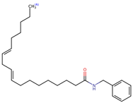 Neurolint 16 00117 i023