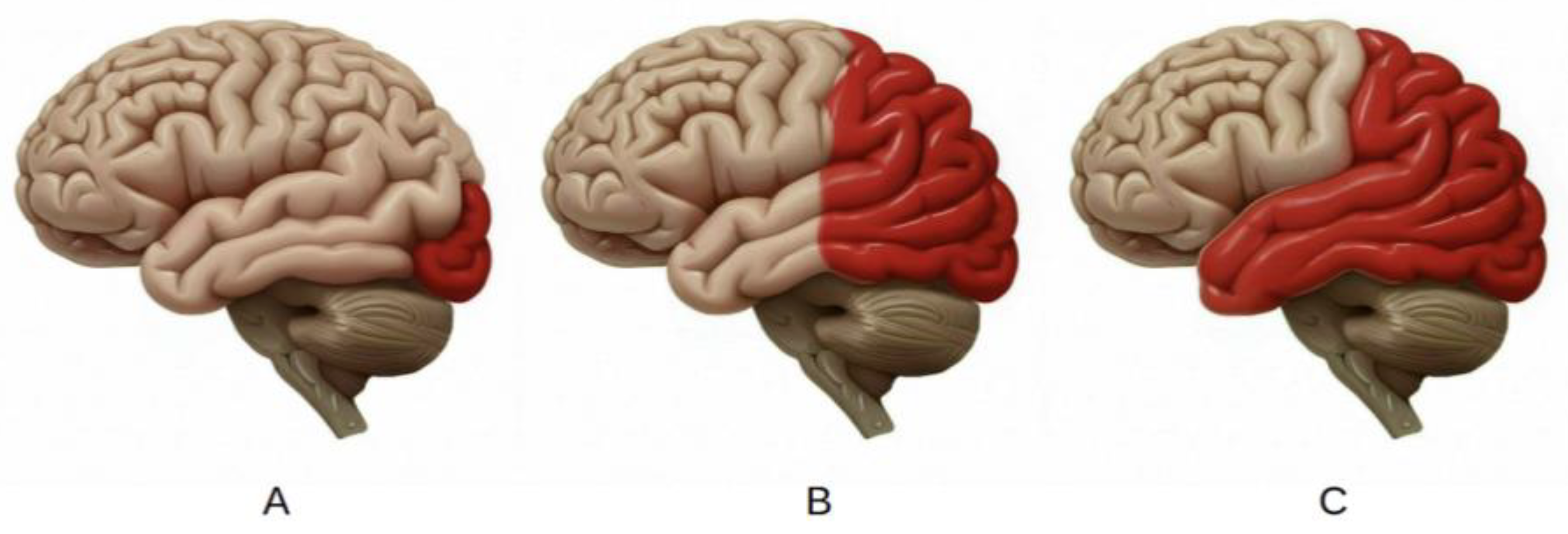 Neurolint 17 00015 g001