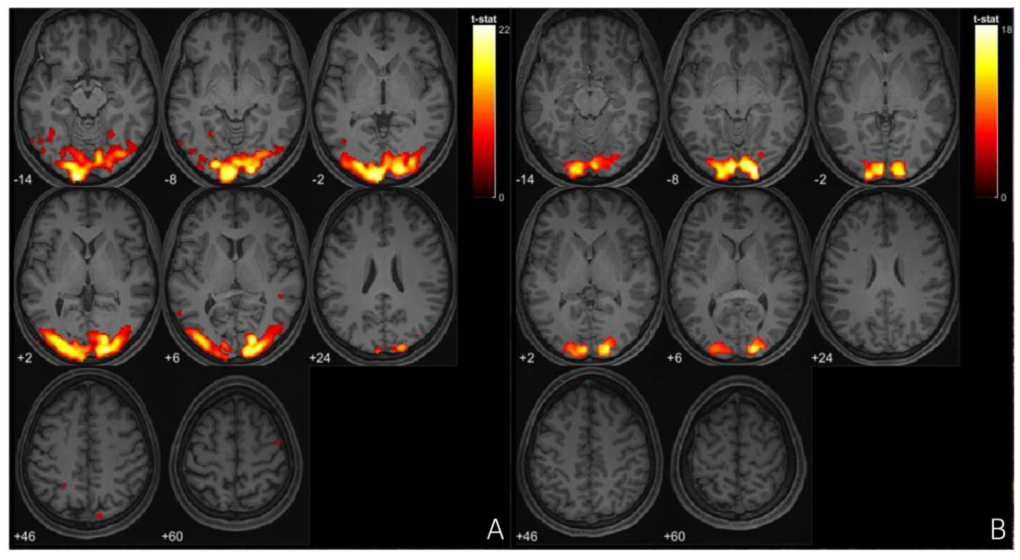 Neurolint 17 00015 g004