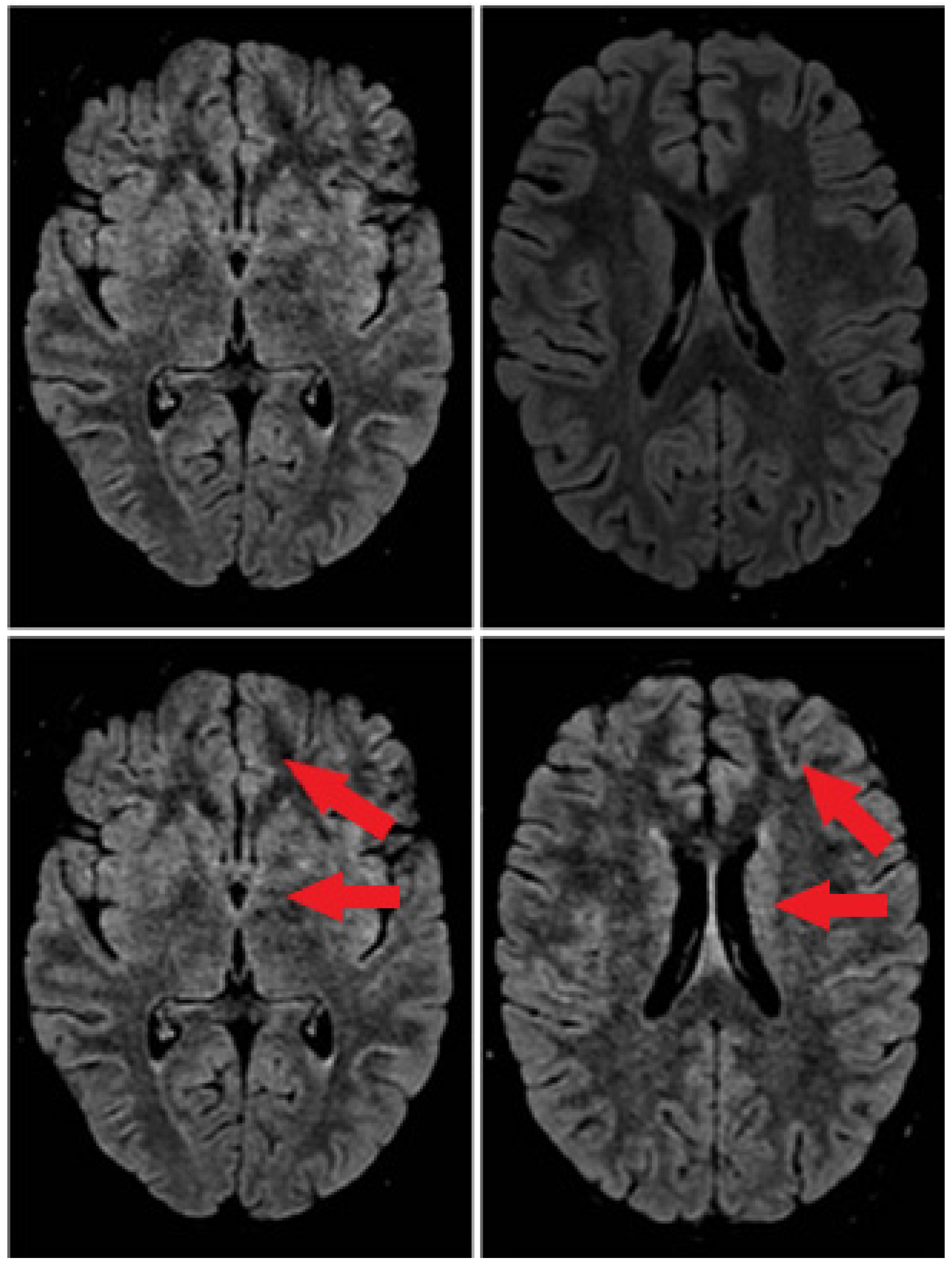 Neurolint 17 00024 g001