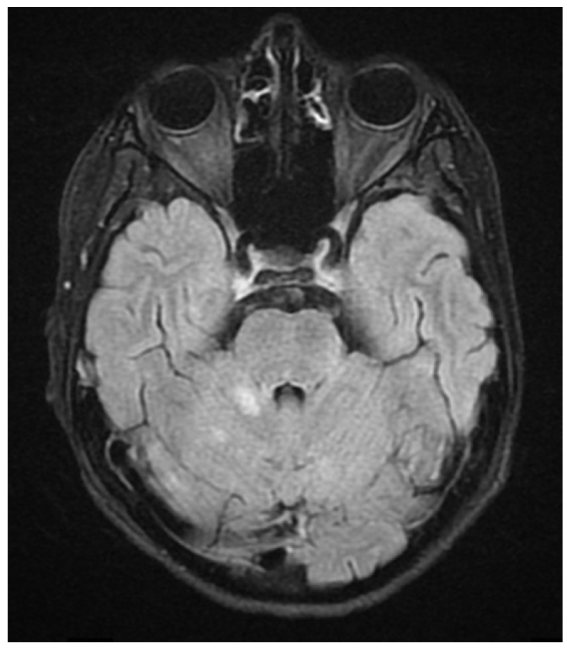 Neurolint 17 00037 g004