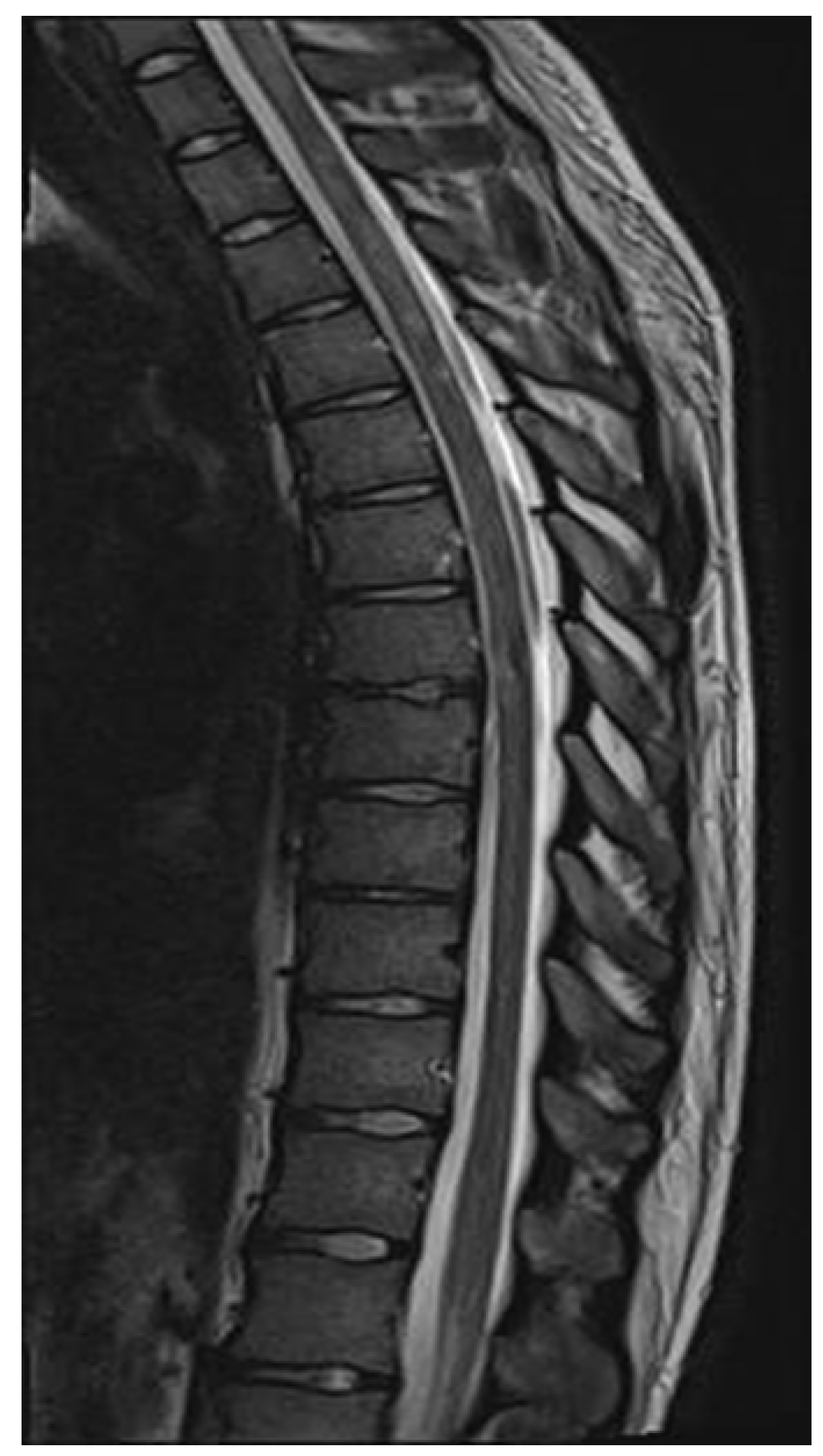 Neurolint 17 00037 g007