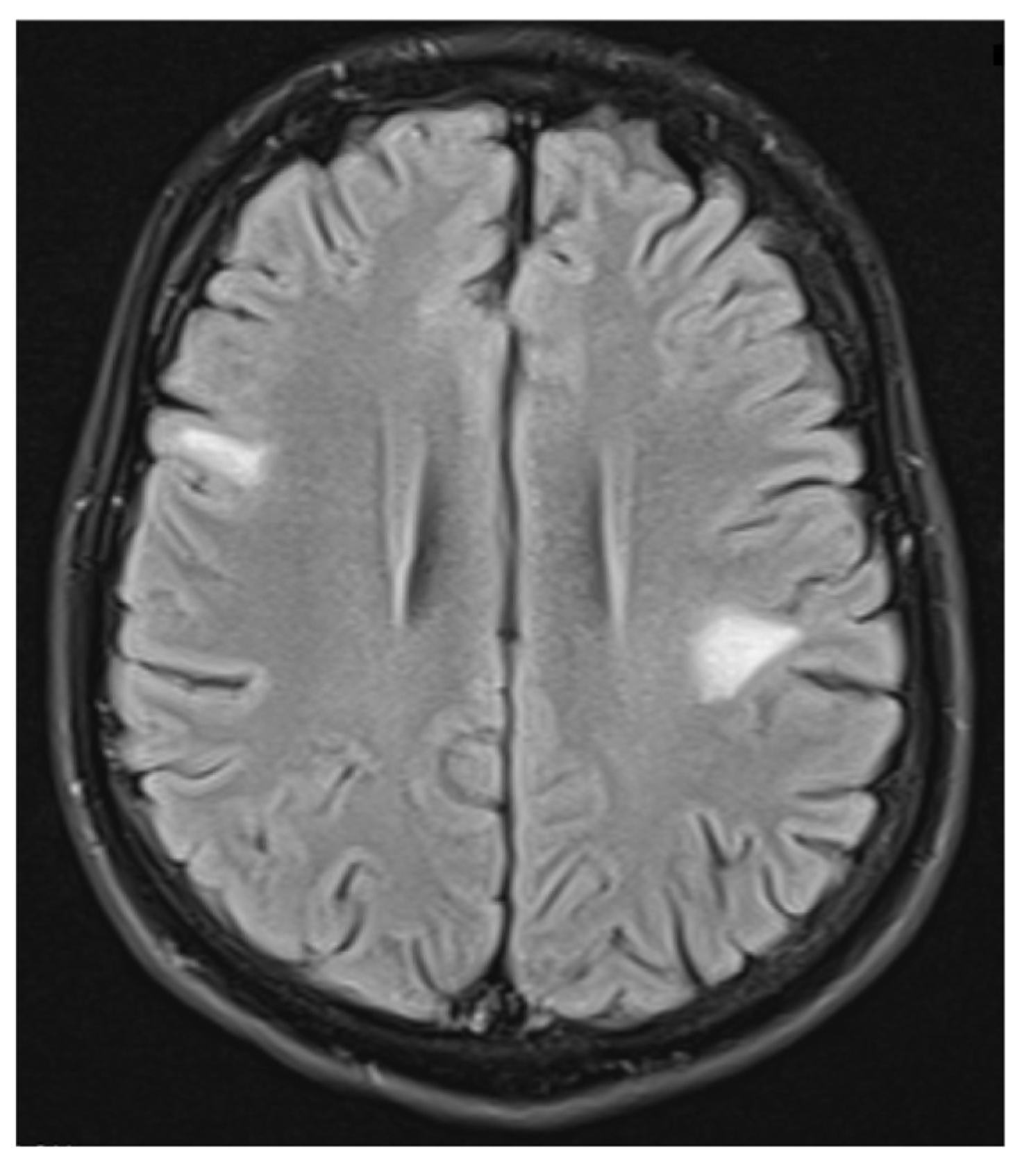 Neurolint 17 00037 g009