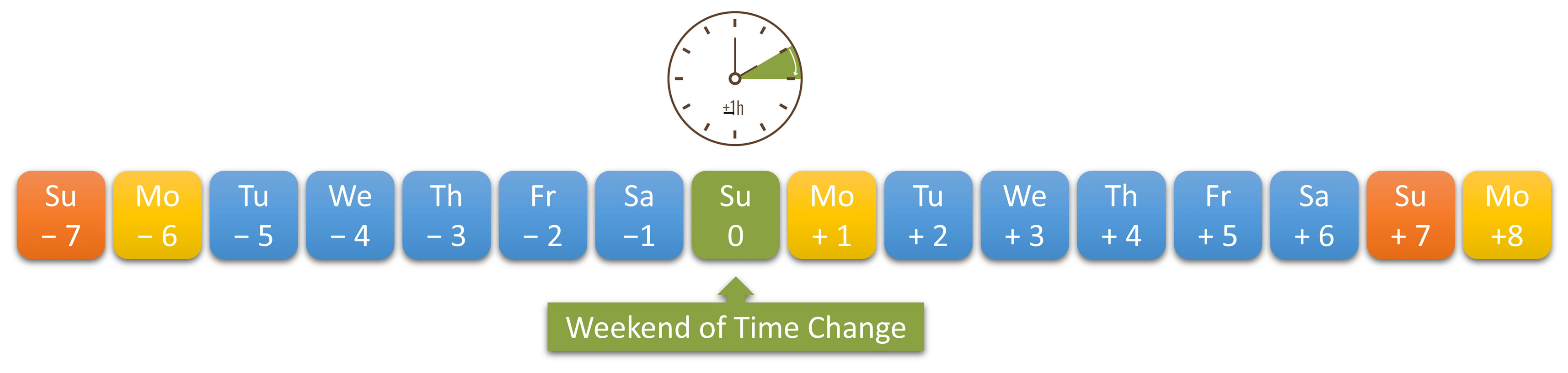 Neurolint 17 00040 g001