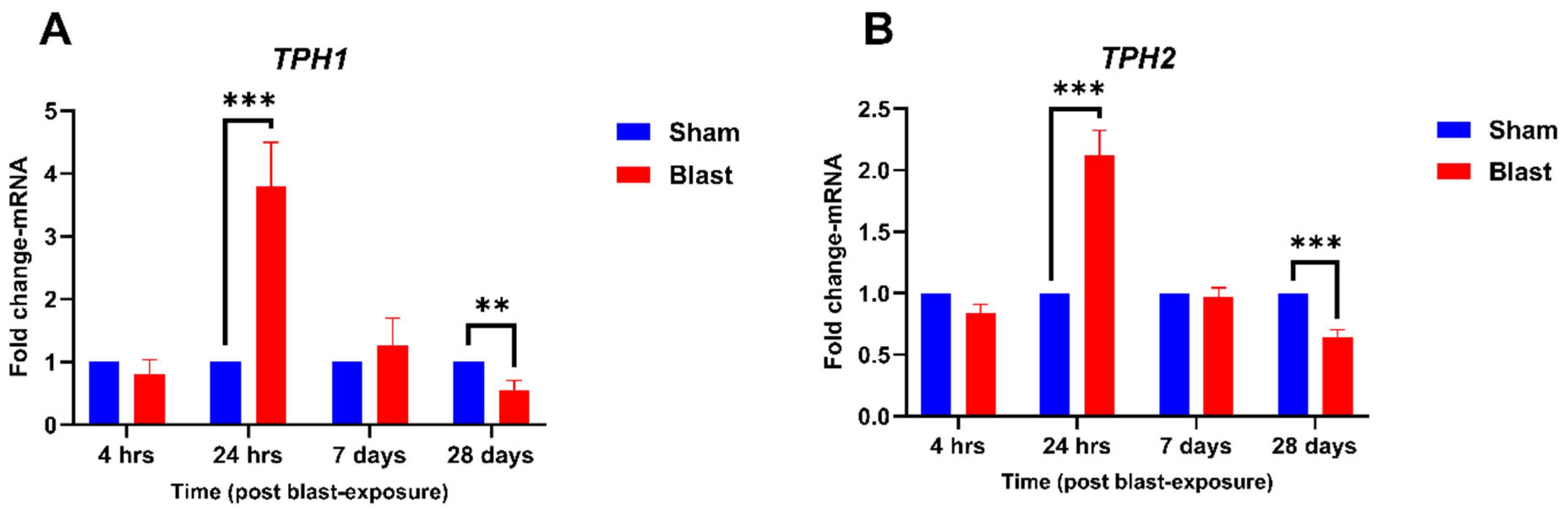 Neurolint 17 00042 g001