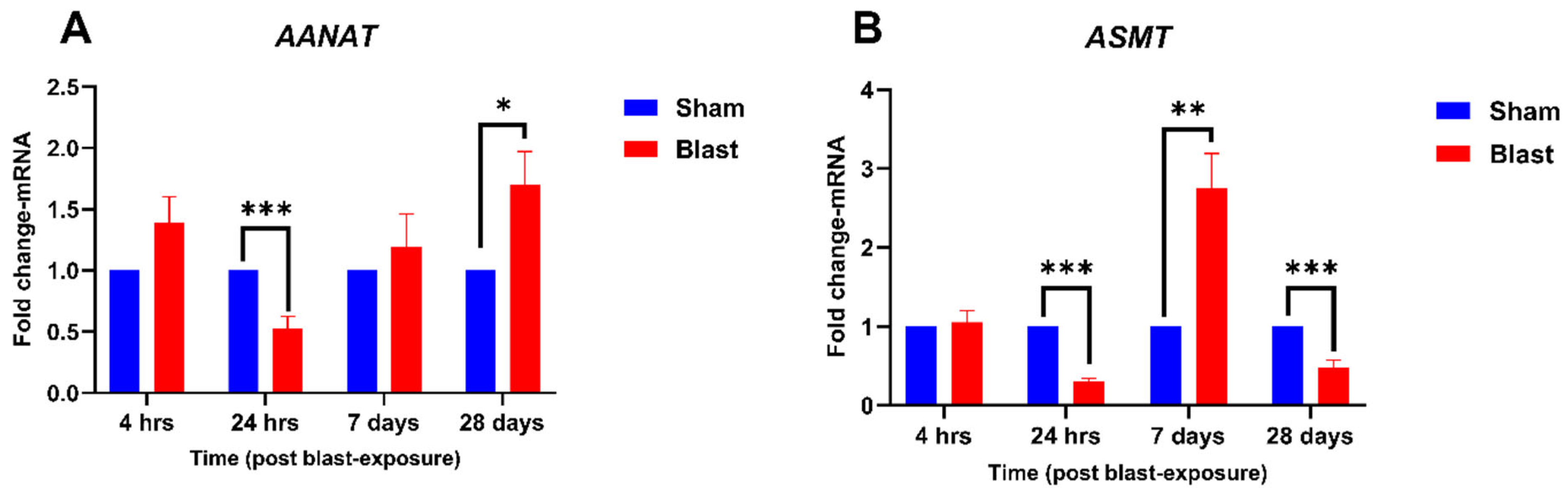 Neurolint 17 00042 g002